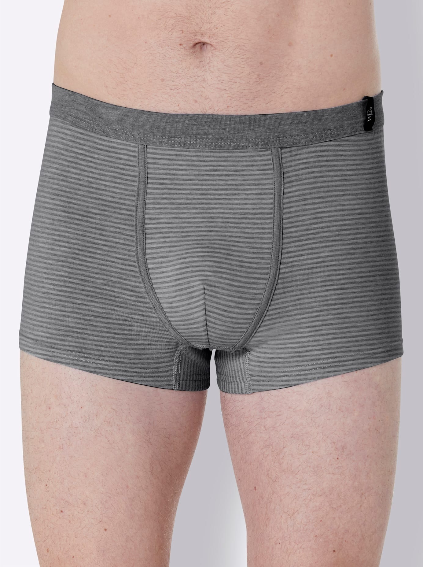 Wäschepur Herren Panty 3 Stk. tlg. in grau, Größe 7