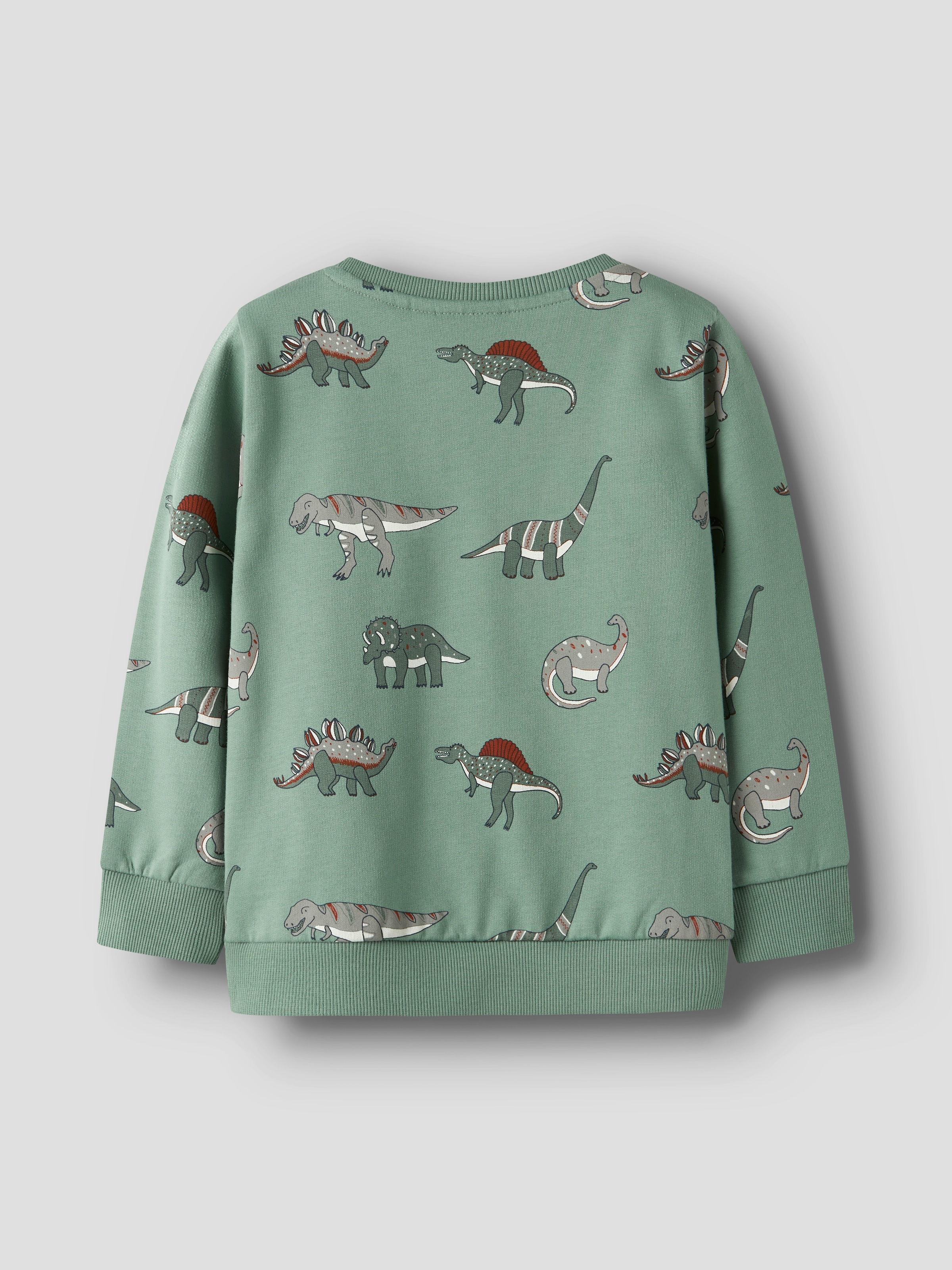 Name It Sweatshirt »NMMNENEAN LS SWE BRU PB«
