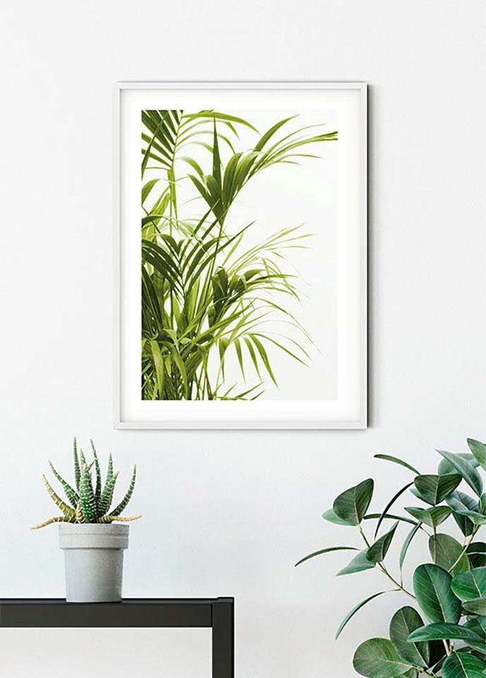 Poster »Reed Leaves«, Pflanzen-Blätter, (1 St.), Kinderzimmer, Schlafzimmer, Wohnzimmer