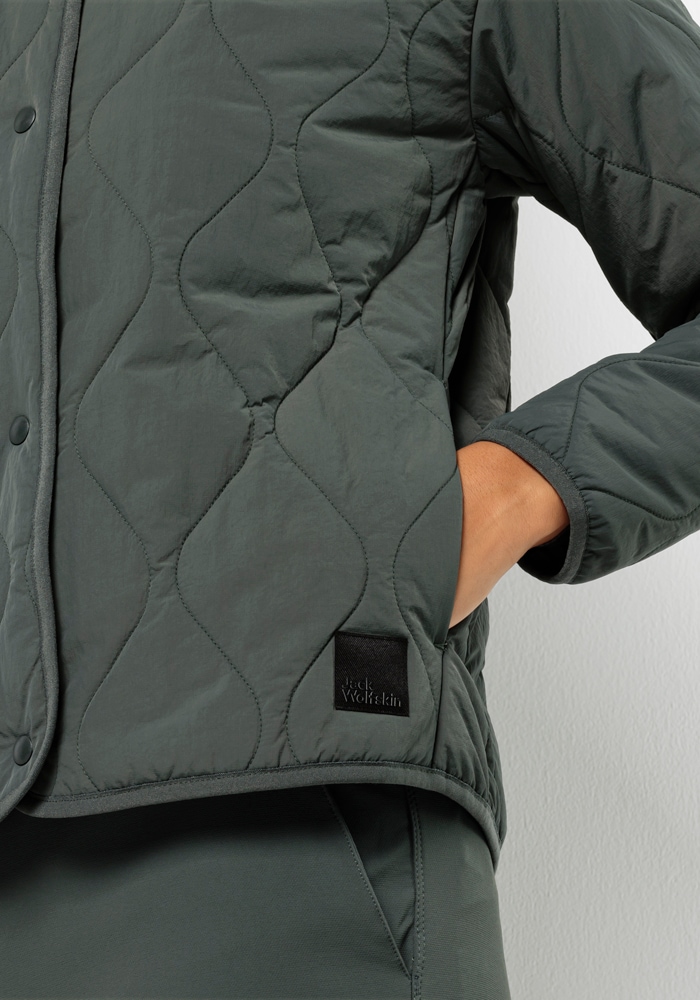 Jack Wolfskin Steppjacke »WANDERMOOD INS JKT W«