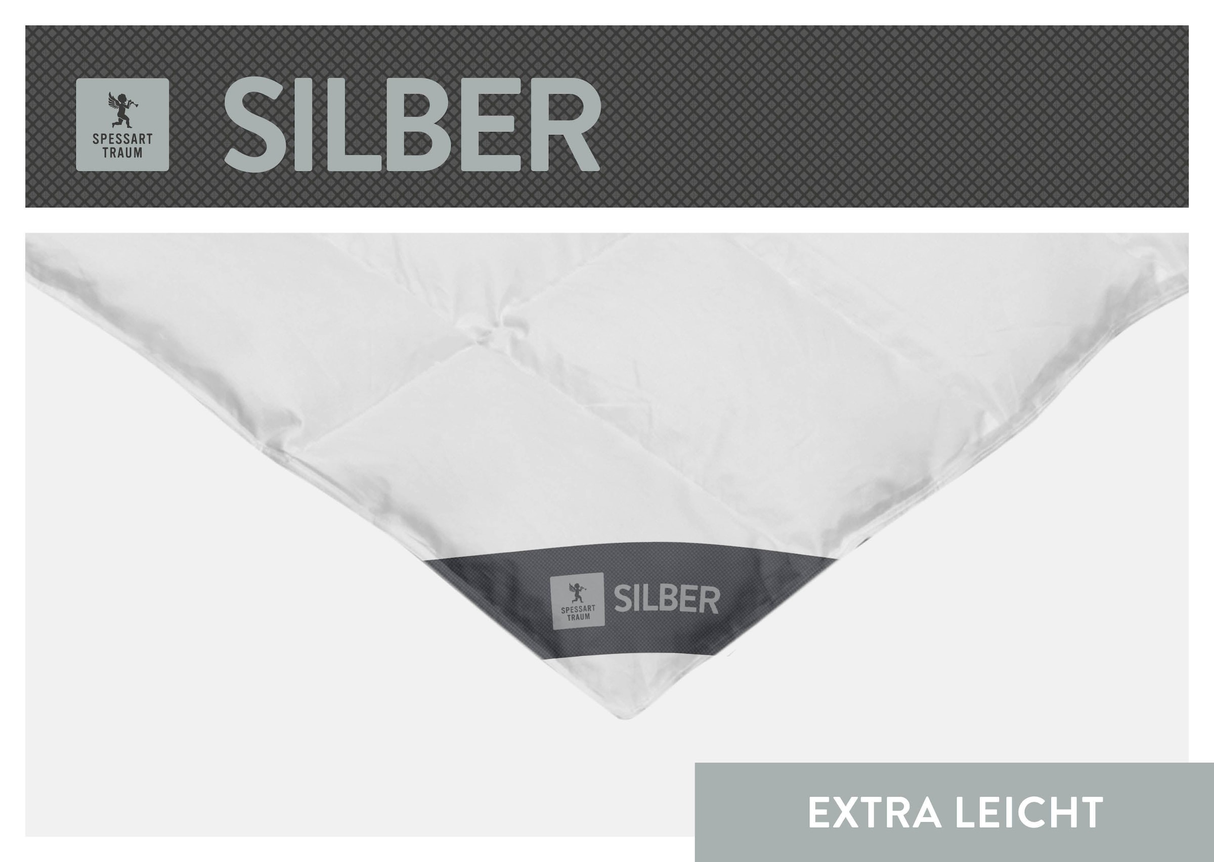 SPESSARTTRAUM Daunenbettdecke »Silber« extraleicht Füllung 100Daunen 1 Stk. tlg. hergestellt in Deutschland, allergikerfreundlich