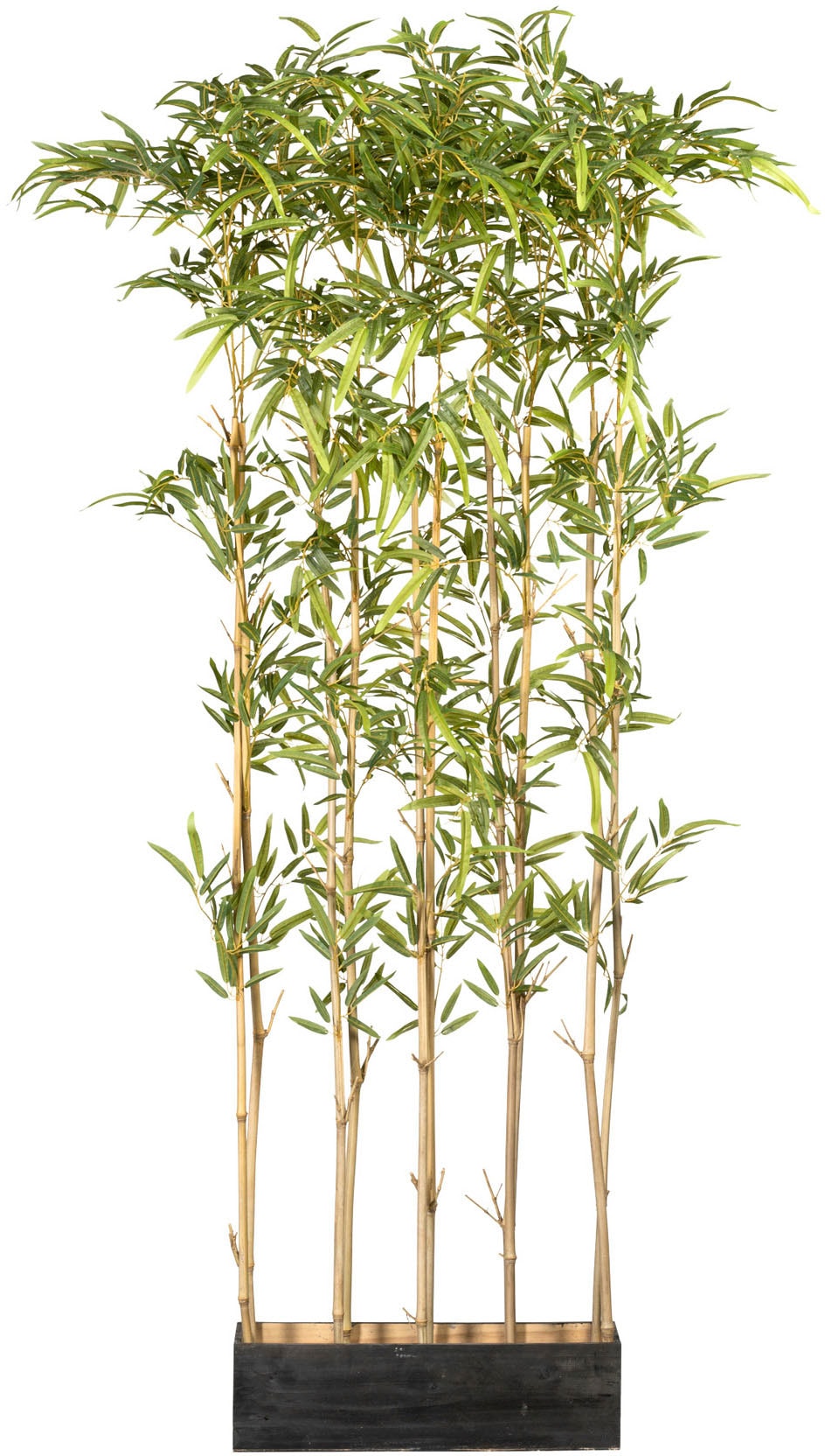 Künstliche Zimmerpflanze »Bambusraumteiler«, im Holzkasten