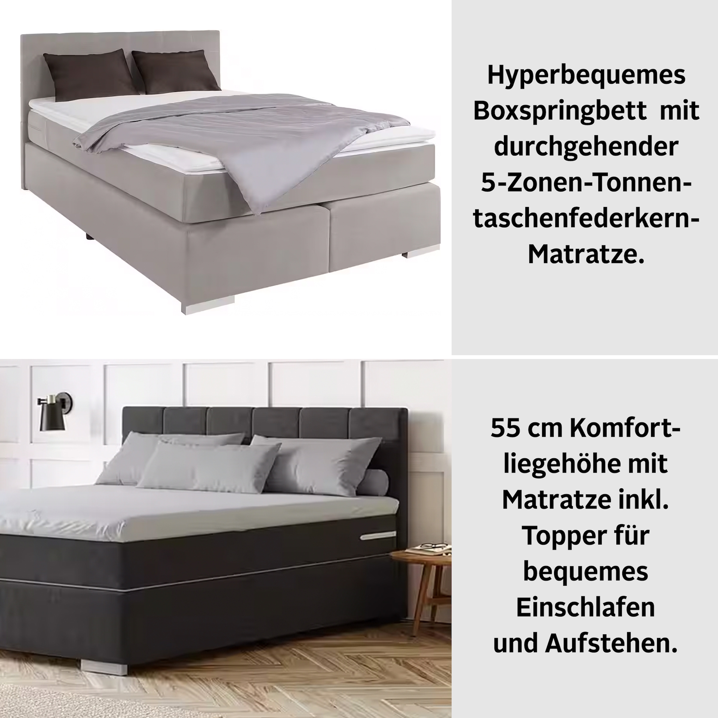 COTTA Boxspringbett »Simba«, Topseller! wahlweise mit oder ohne Matratze und Topper bestellbar