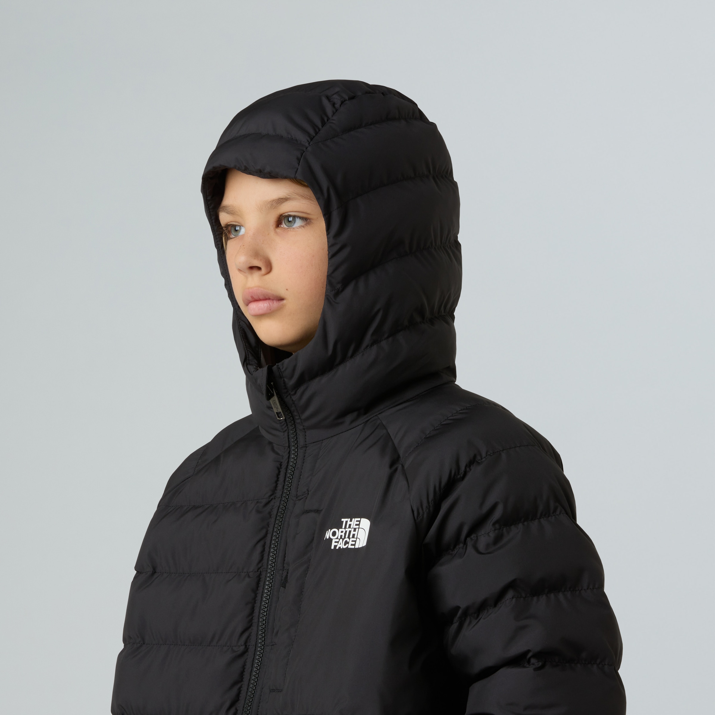 The North Face Steppjacke, Wendbar, isolierend, wetterfest