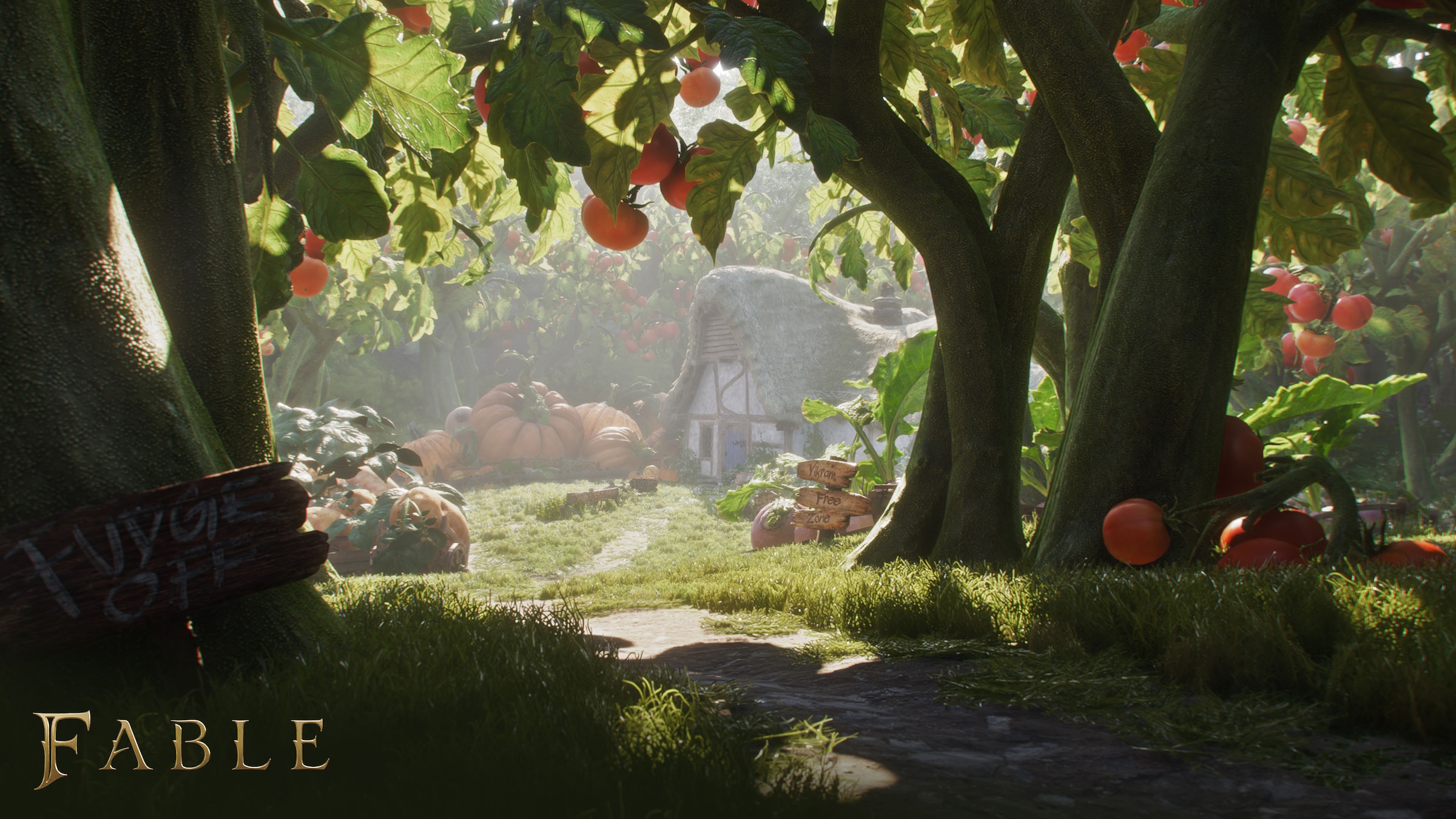 Xbox Spielesoftware »Fable« PlayStation 5