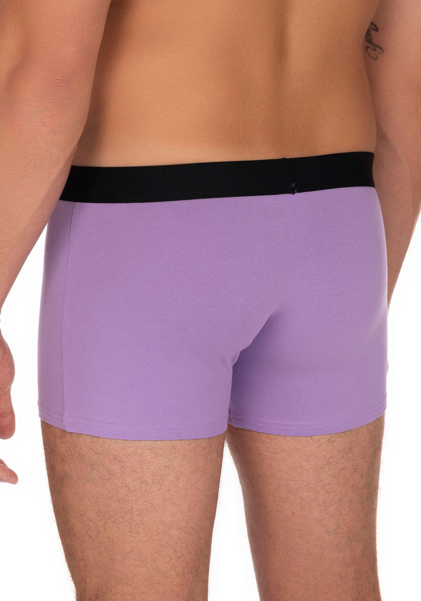 Bruno Banani Boxer, (2er Pack), mit kontrastreichem Logobund