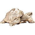 KARE Tierfigur »Turtle«