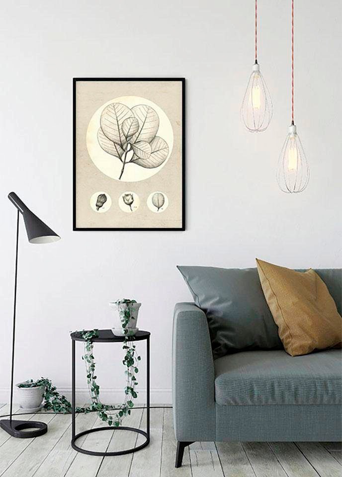 Komar Bild »Transparent Leaf«, Pflanzen-Blätter, (1 St.), Wandbild zur Dekoration - ohne Rahmen
