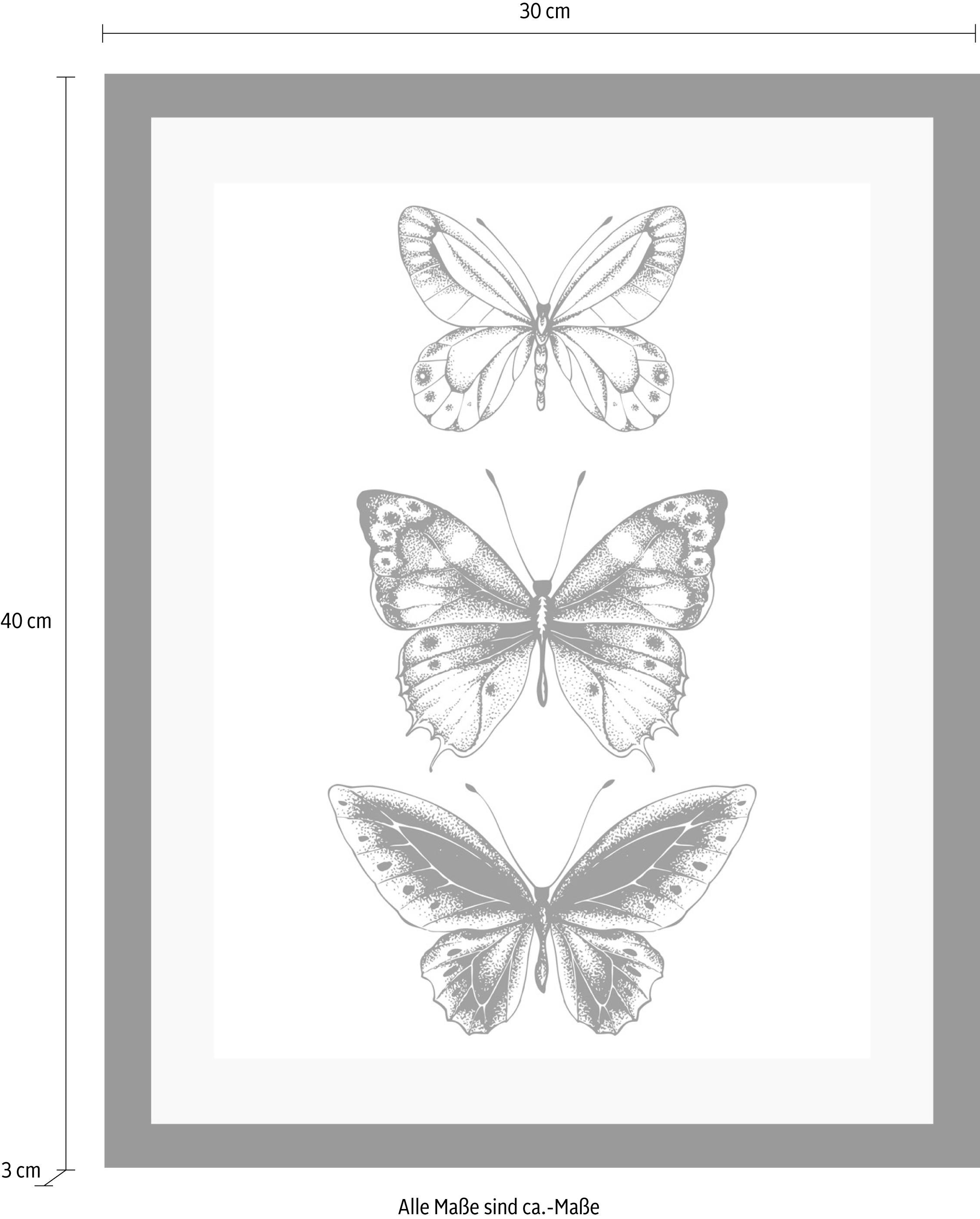 queence Bild »Schmetterlinge« Insekten | Kunst | Schmetterlinge | Schwarz-Weiß | Tiere HD Premium Poster-Druck inkl. Holzrahmen