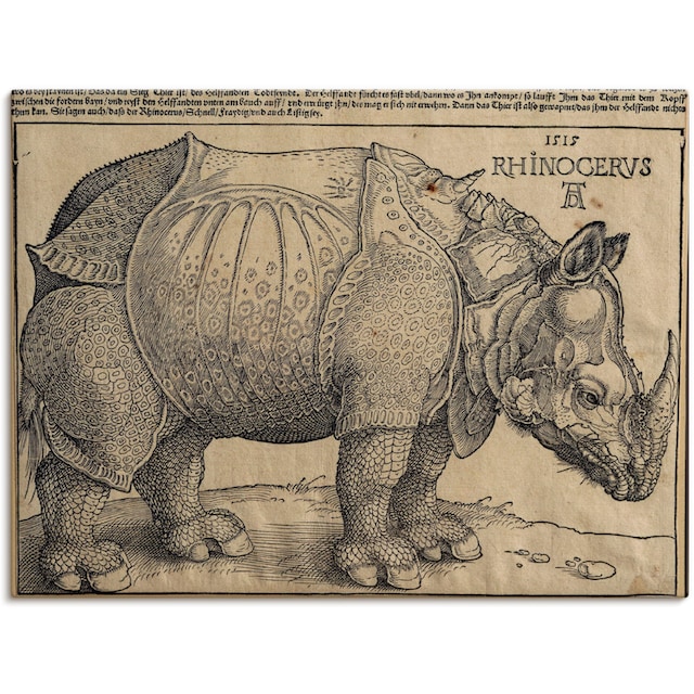 Artland Wandbild »Nashorn. 1515. Für König Emanuel.«, Wildtiere, (1 St.),  als Leinwandbild, Wandaufkleber oder Poster in versch. Größen online bei  OTTO