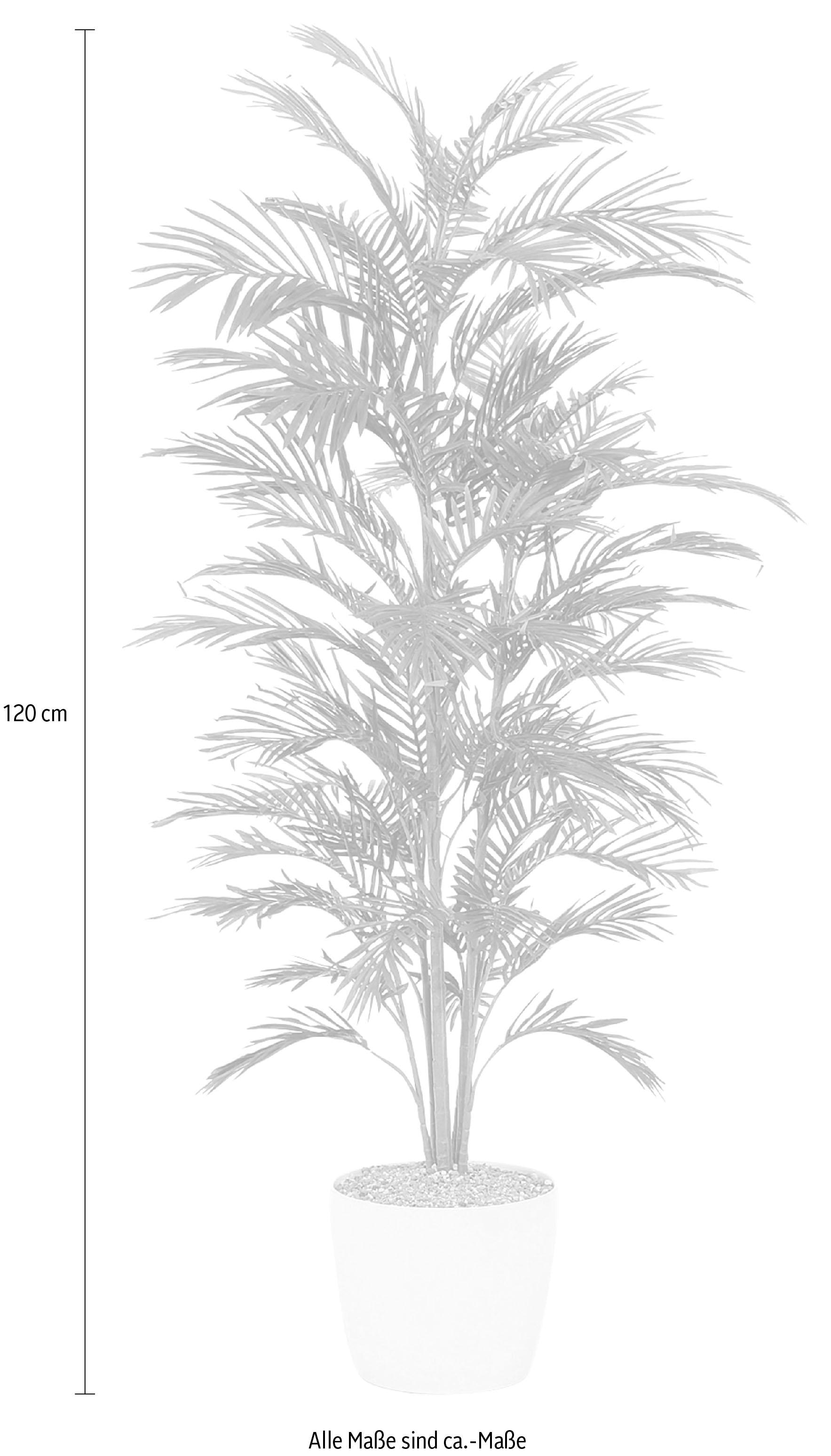 Creativ green Kunstpalme »Palme«
