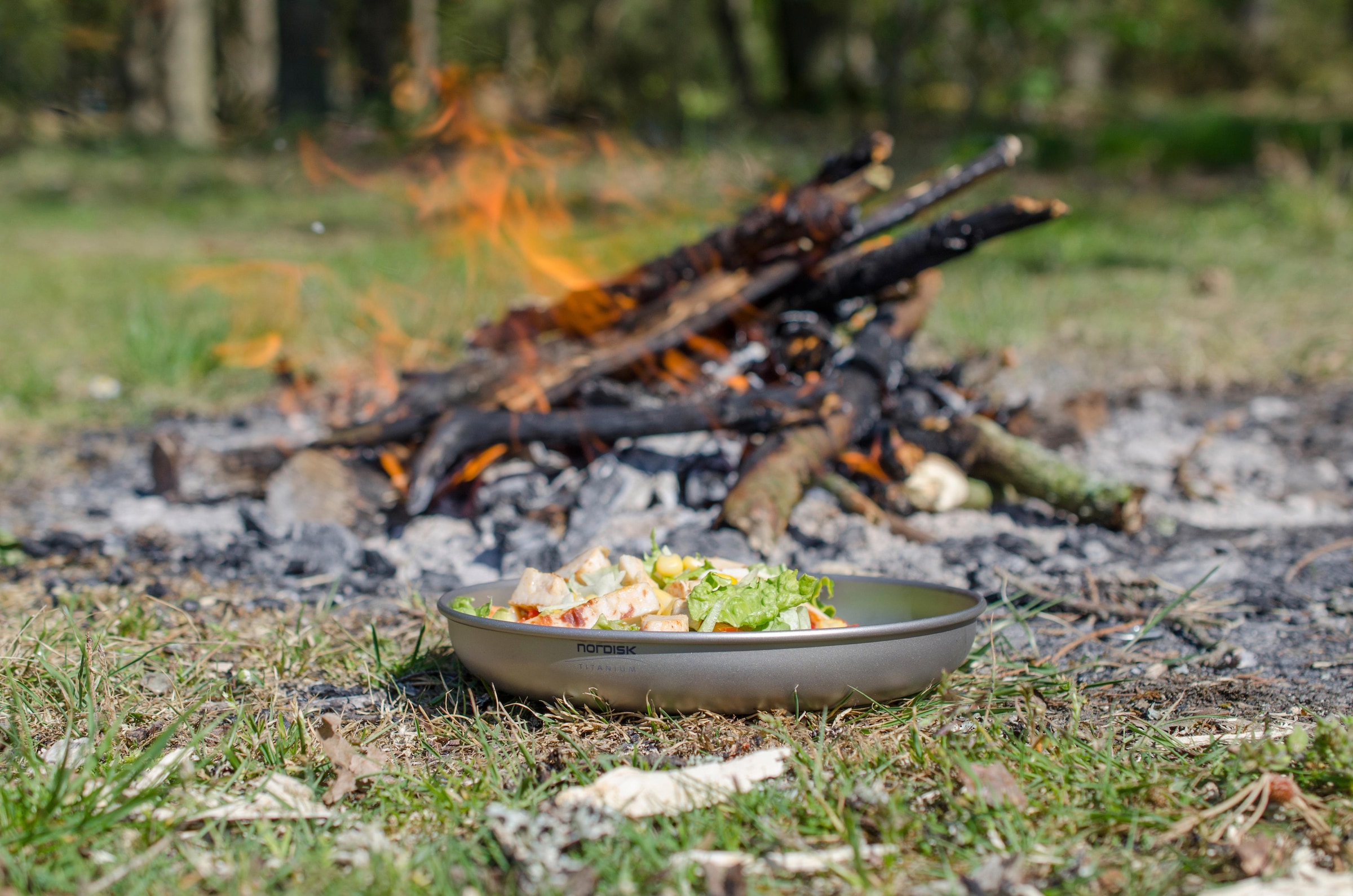 Nordisk Speiseteller »Titanium Plate«