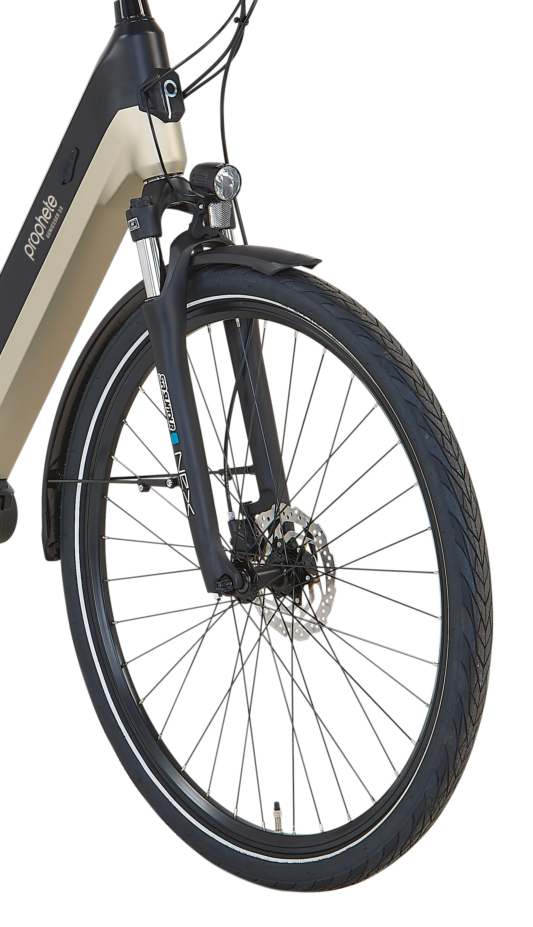 Prophete »Geniesser 3.8« 7 Gang Shimano Nexus Schaltwerk Nabenschaltung Mittelmotor 250 W