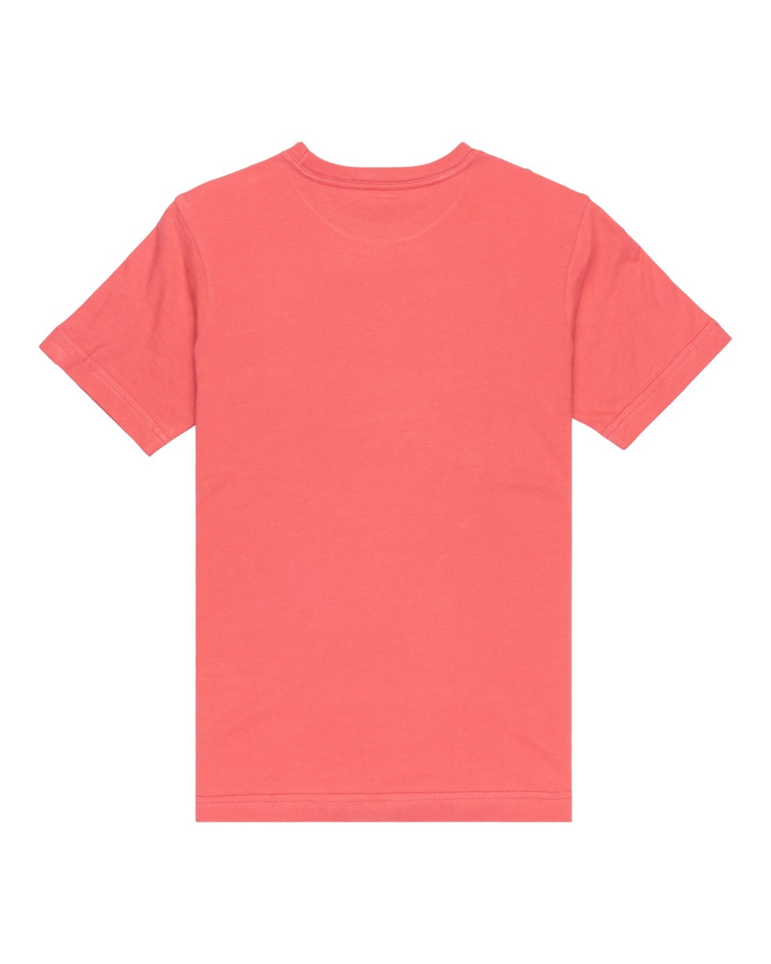 Quiksilver T-Shirt »Ev Stay Palm«