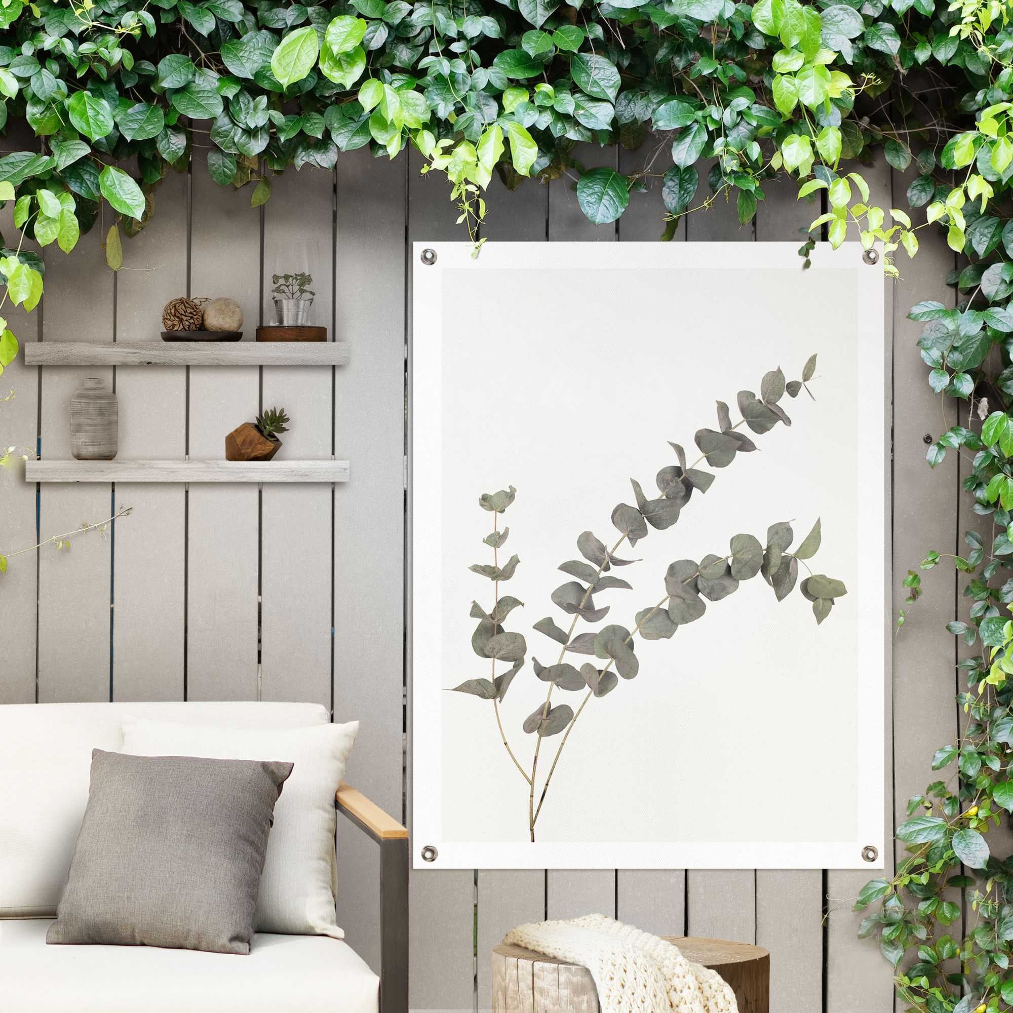 Reinders! Poster »Eukalyptus«, Outdoor für Garten oder Balkon