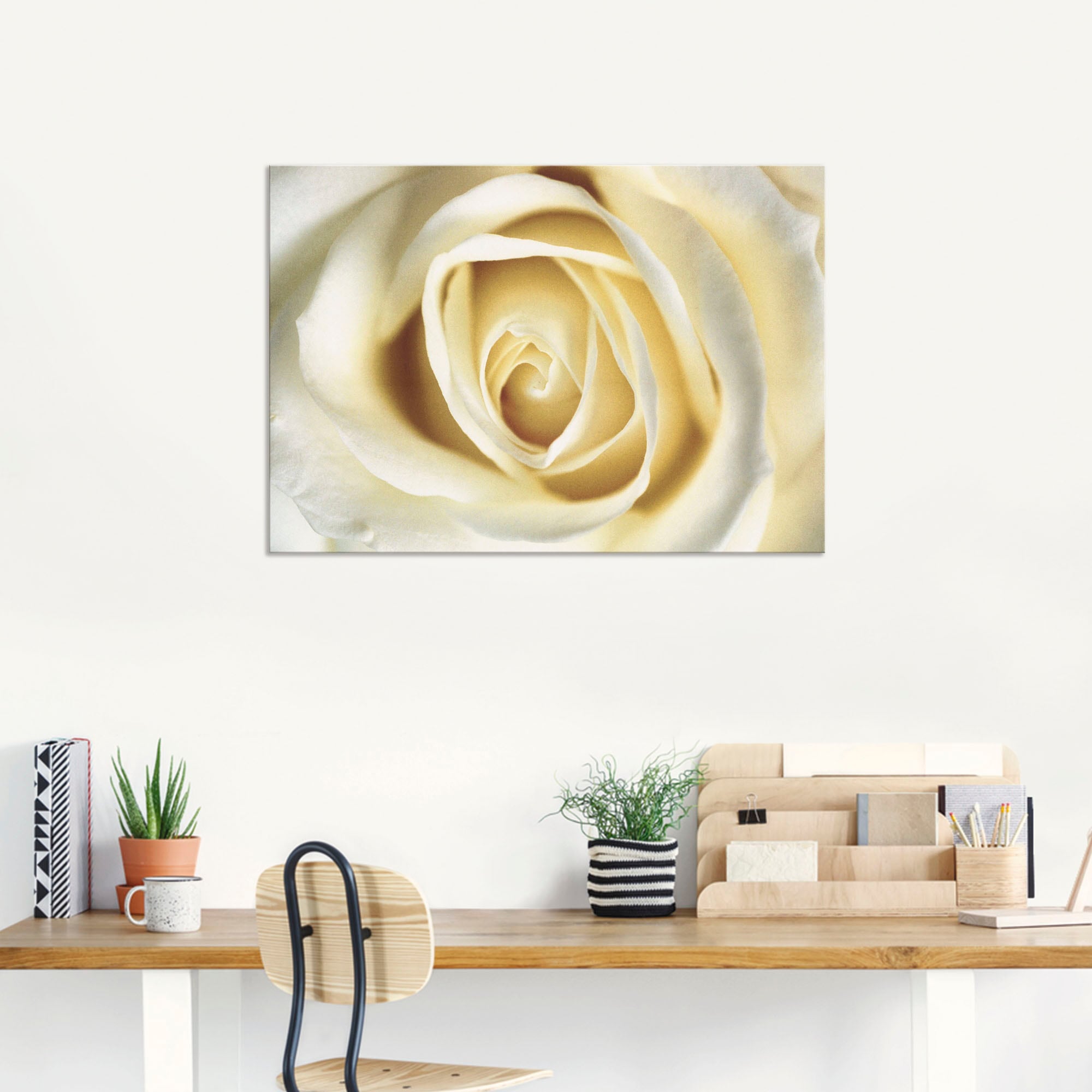 Artland Wandbild »Weiße Rose«, Blumen, (1 St.), als Alubild, Outdoorbild, Leinwandbild in verschied. Größen