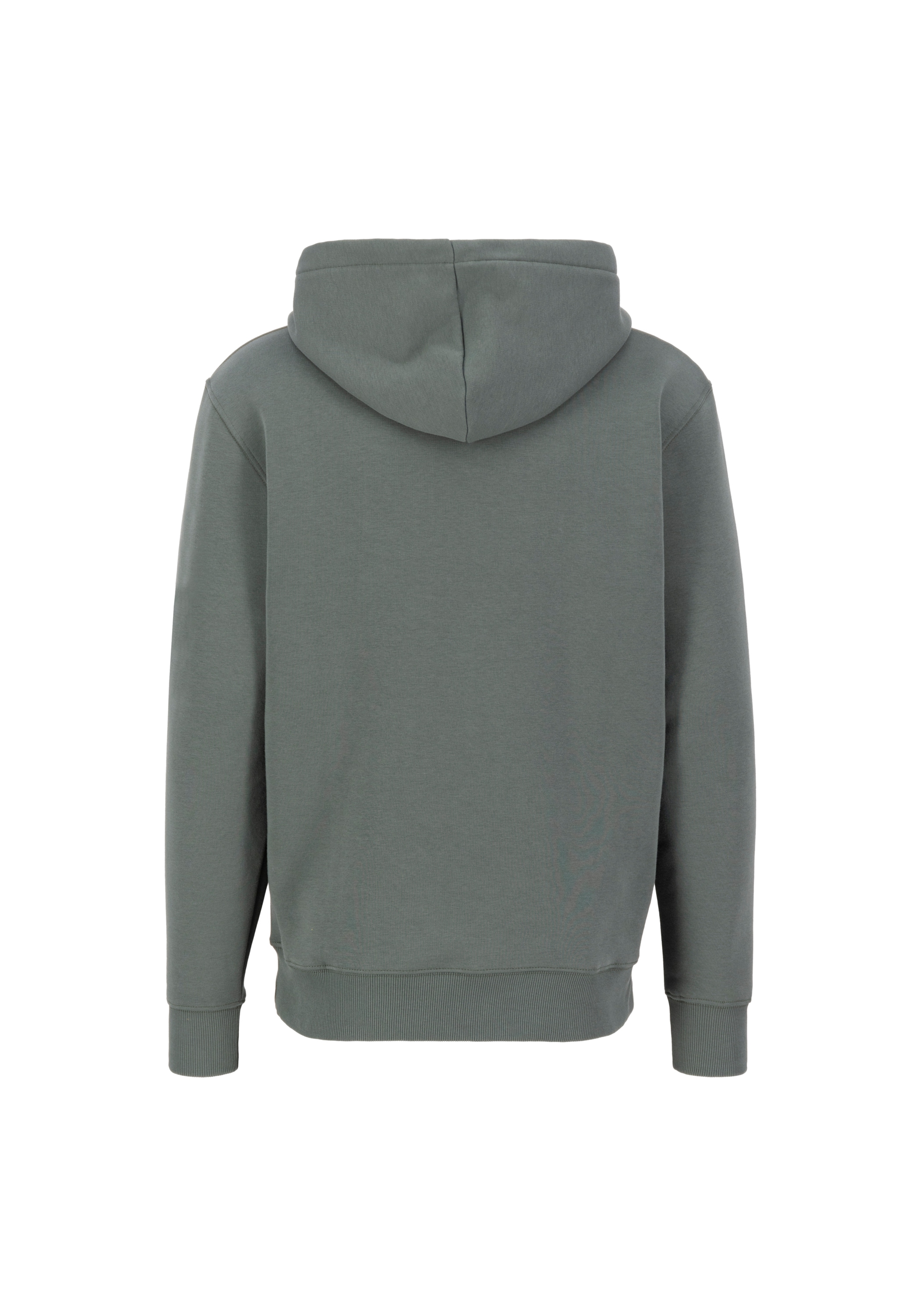 Alpha Industries Hoodie »Alpha Industries Men - Hoodies Basic Hoodie Rainbow Refl. Print«