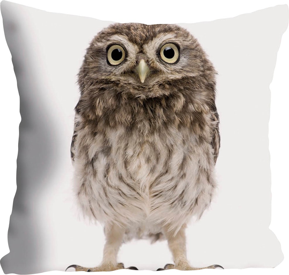 queence Dekokissen »Kelly« Kissenhülle,Weißer Hintergrund,Eule,Tiermotiv,Niedlich,Zart