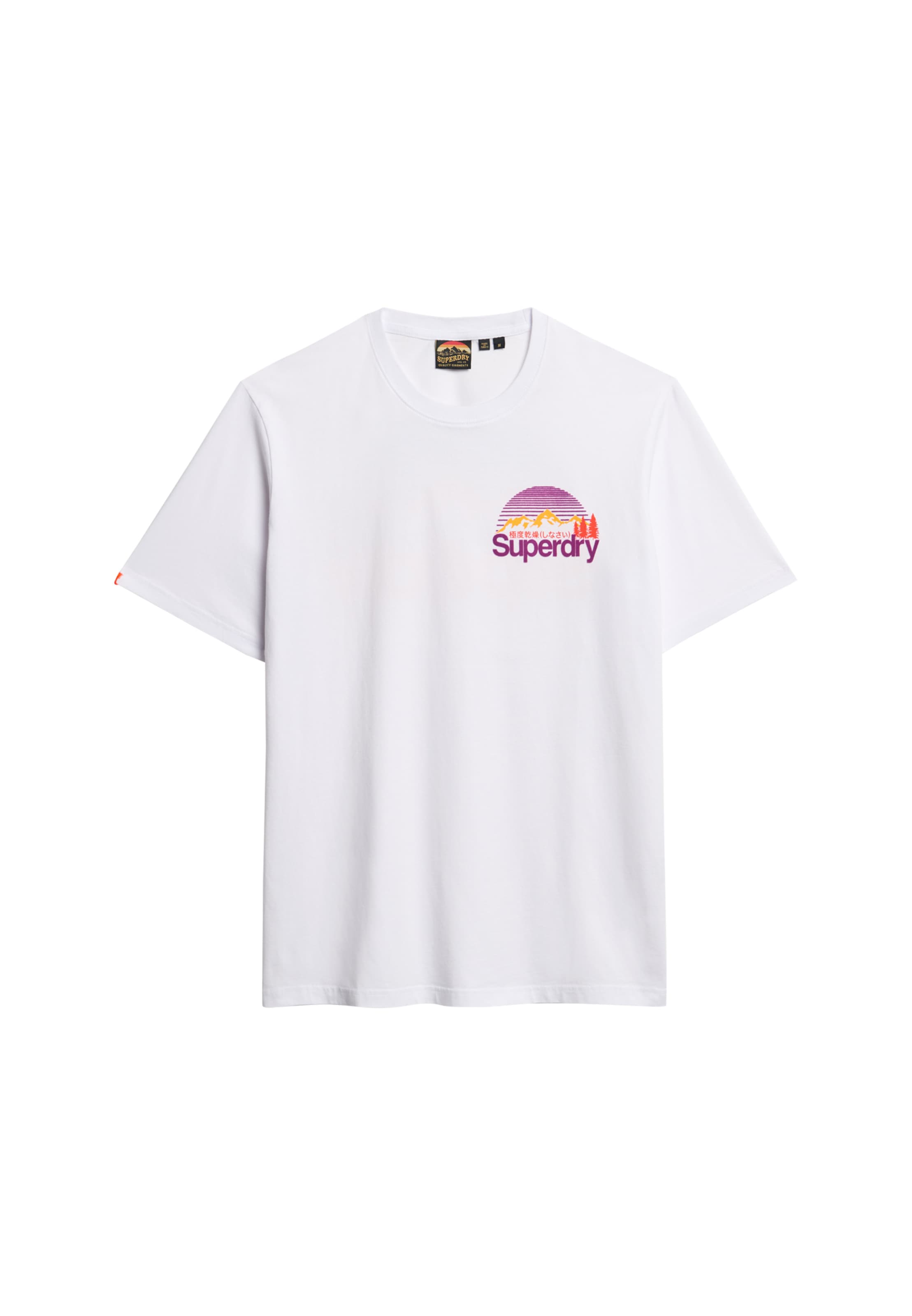 Superdry Rundhalsshirt »CL GREAT OUTDOORS CHEST TEE«