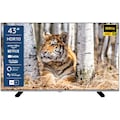 JVC LED-Fernseher »LT-43VFE5155«, 108 cm/43 Zoll, Full HD, Smart-TV