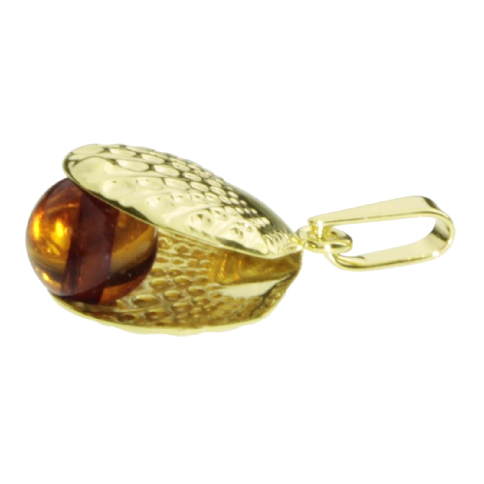 OSTSEE-SCHMUCK Kettenanhänger »- Muschel - Gold 333/000 - Bernstein«