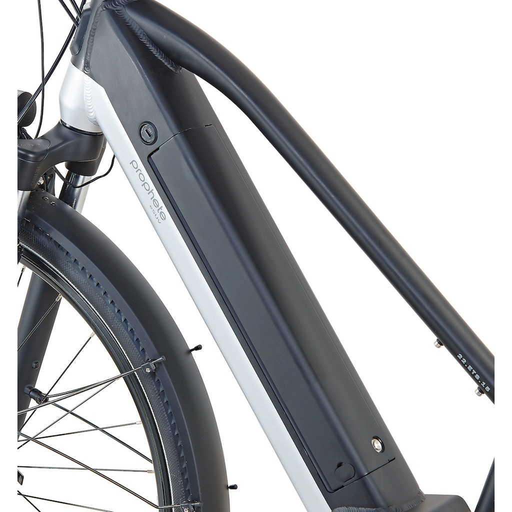 Prophete E-Bike »Entdecker 5.0«, 10 Gang, Shimano, Deore, Mittelmotor 250 W