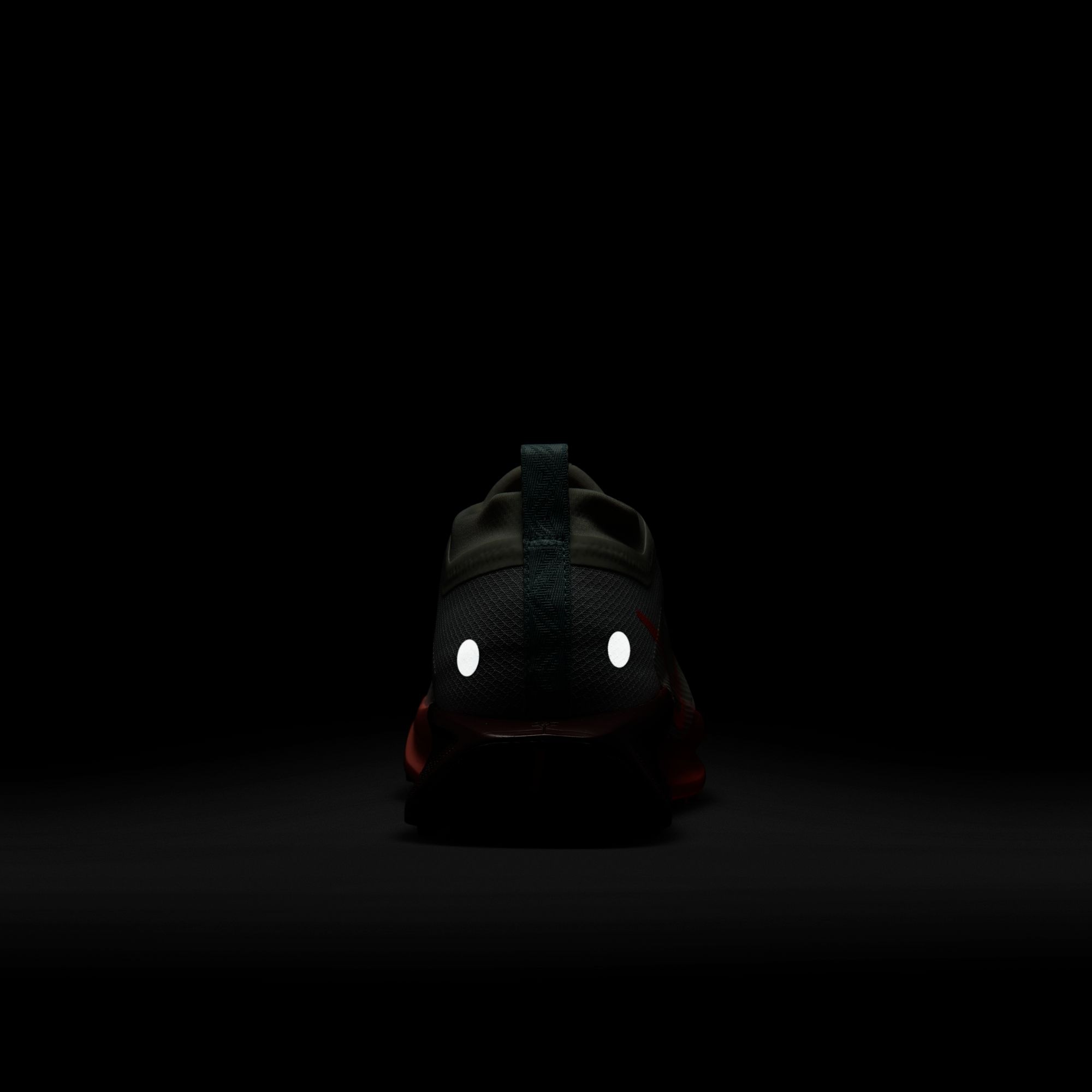 Nike Laufschuh »PEGASUS TRAIL 5 GTX«  wasserdicht