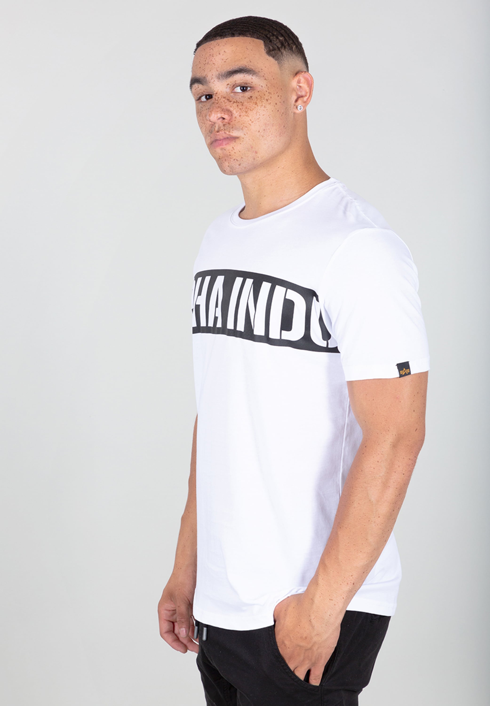Alpha Industries T-Shirt »Alpha Industries Men - T-Shirts Printed Stripe T-Shirt«