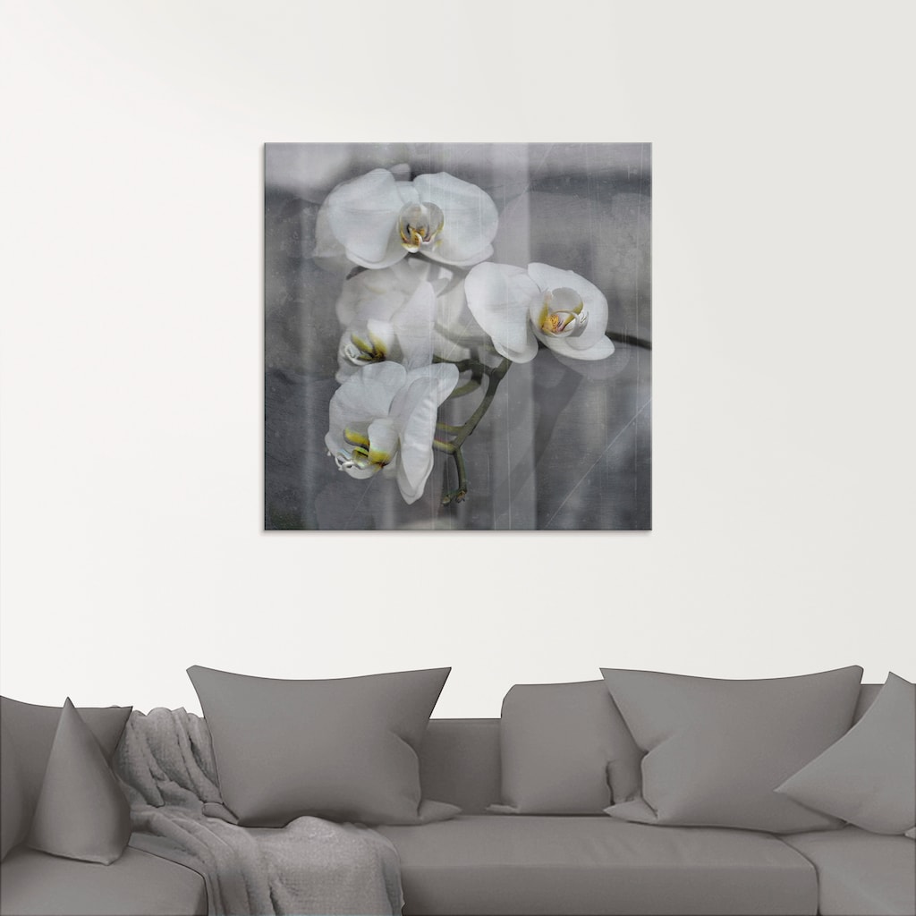 Artland Glasbild »Weisse Orchideen - white Orchid«, Blumen, (1 St.)