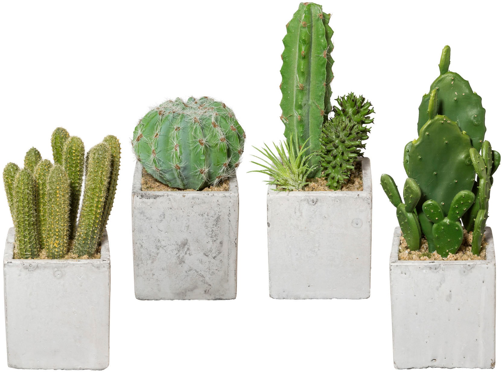 Creativ green Kunstkaktus »Kaktus«, 4er Set, im Zementtopf online bei OTTO