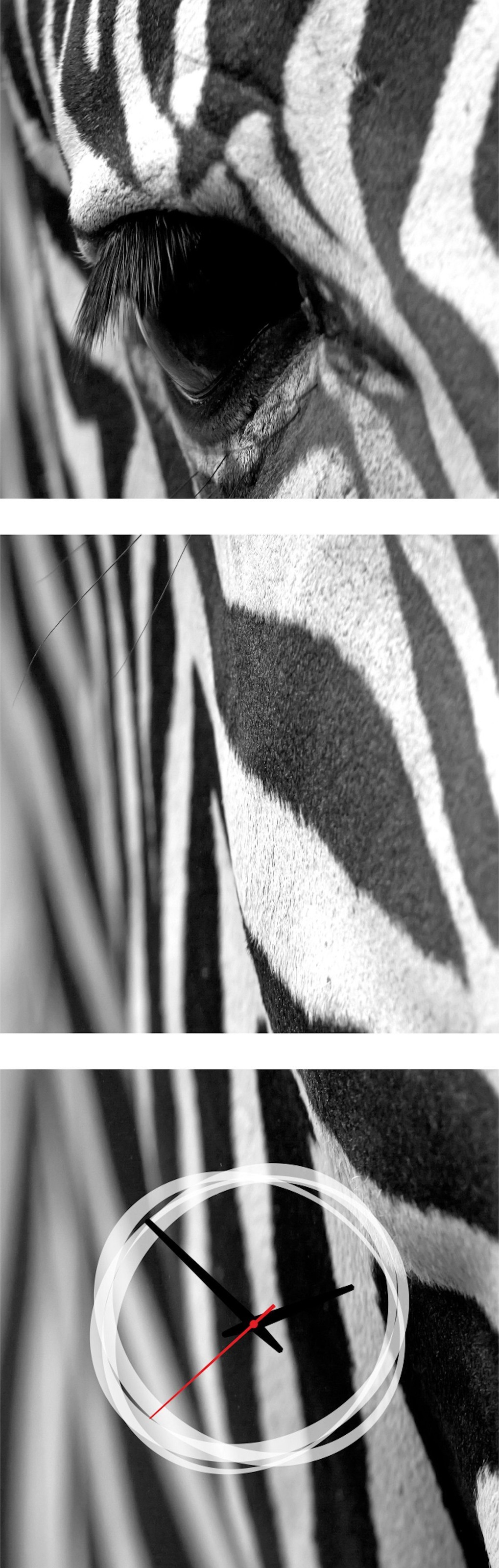 Conni Oberkircher´s Bild »Zebra«, Zebras, (Set), mit dekorativer Uhr