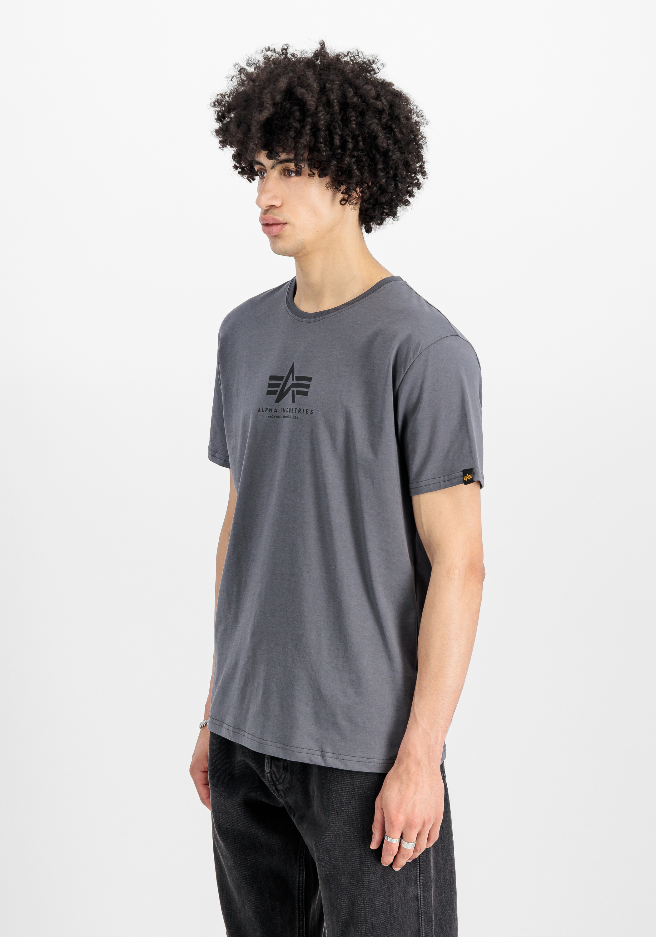 Alpha Industries T-Shirt »Alpha Industries Men - T-Shirts Basic T-Shirt ML«