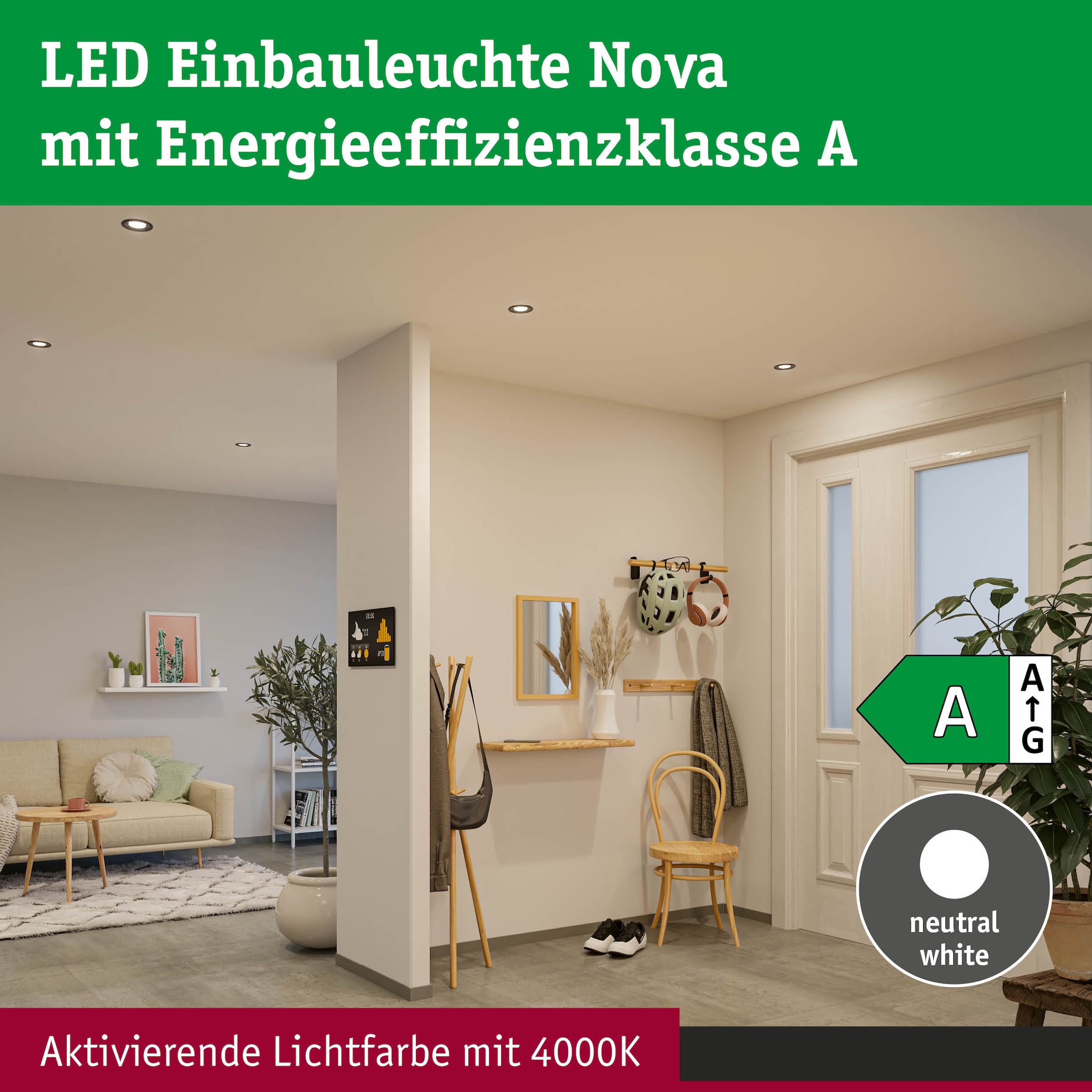 Paulmann LED Einbauleuchte »LED Einbauleuchte Nova Coin rund 84mm 50°« LED-Modul 3 Stk. Neutralweiß