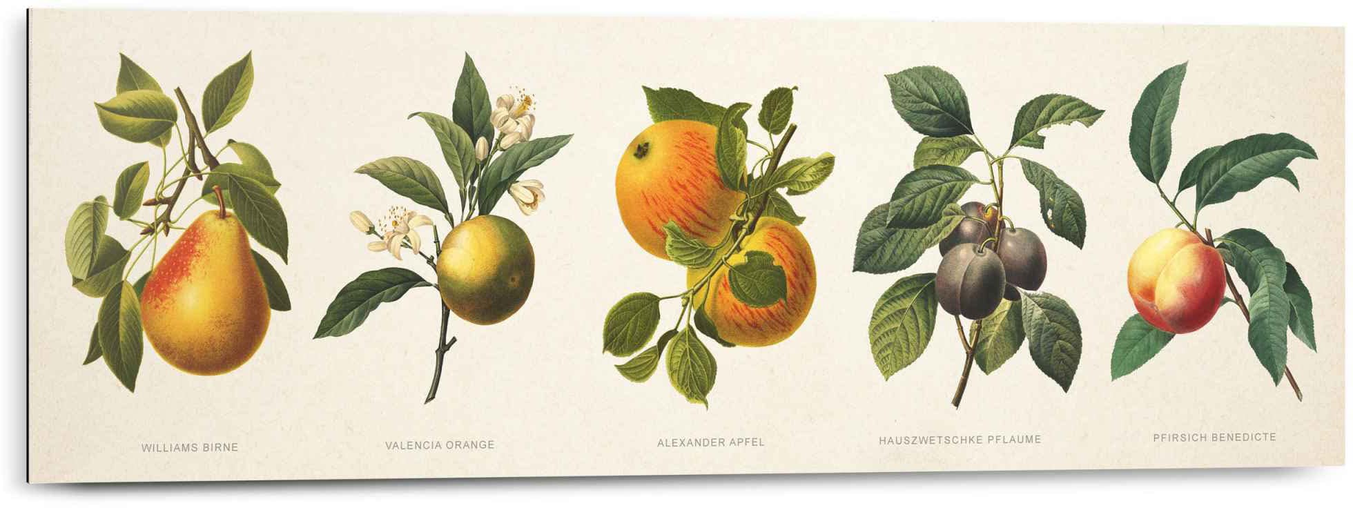 Reinders! Wandbild »Wandbild Fruchte Konfitüre«, bestellen Obst, Online im Nostalgisch Früchte (1 Shop OTTO - St.) 
