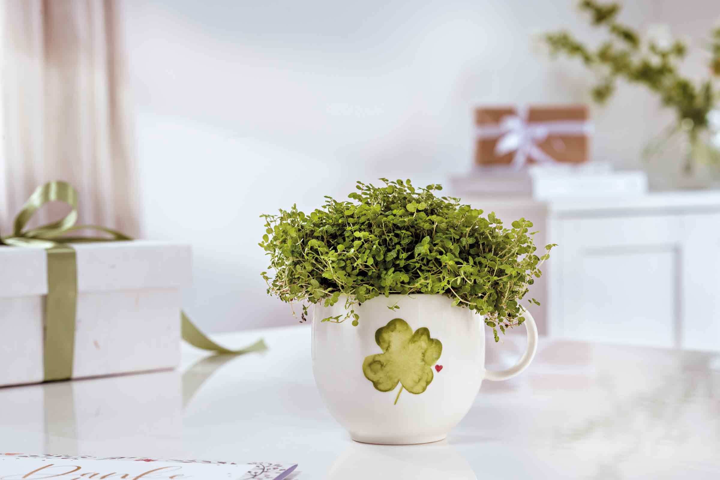 Villeroy & Boch Becher »Henkelbecher Good Luck With Love 290 ml weiß-grün«
