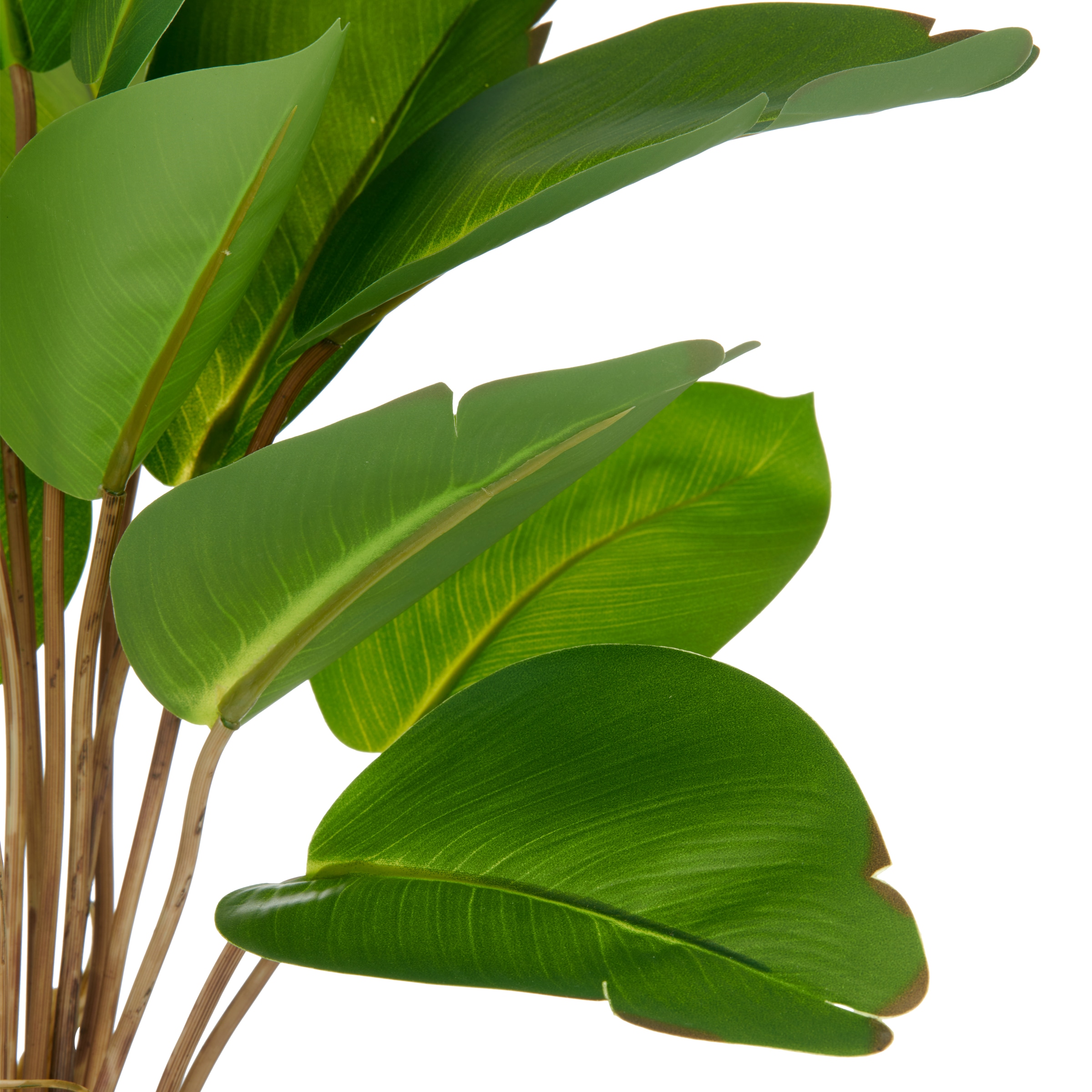 Creativ green Kunstpflanze »Philodendron« mit naturgetreuem Blattwerk