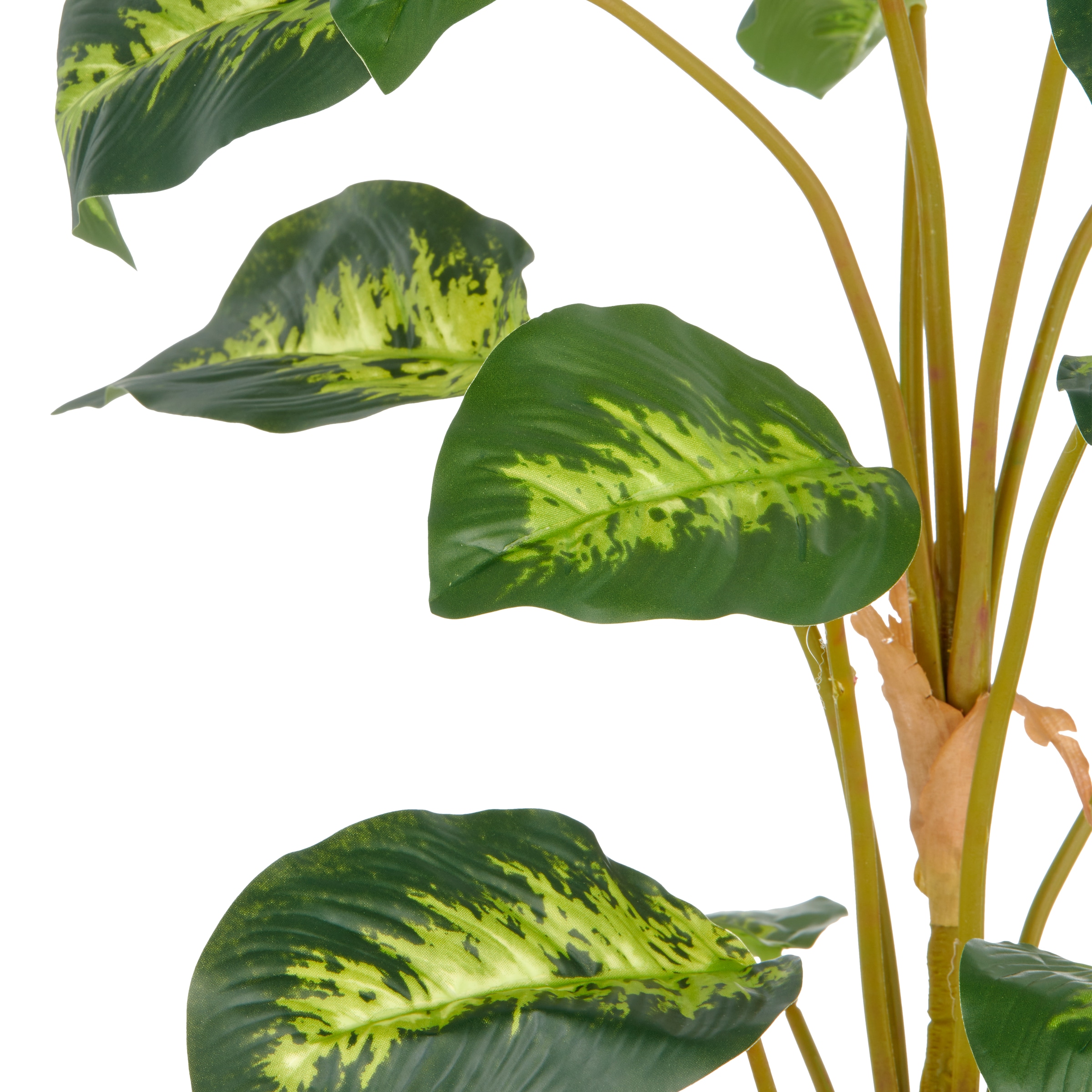 Creativ green Kunstpflanze »Diffenbachia reeva« mit schönem Blattwerk
