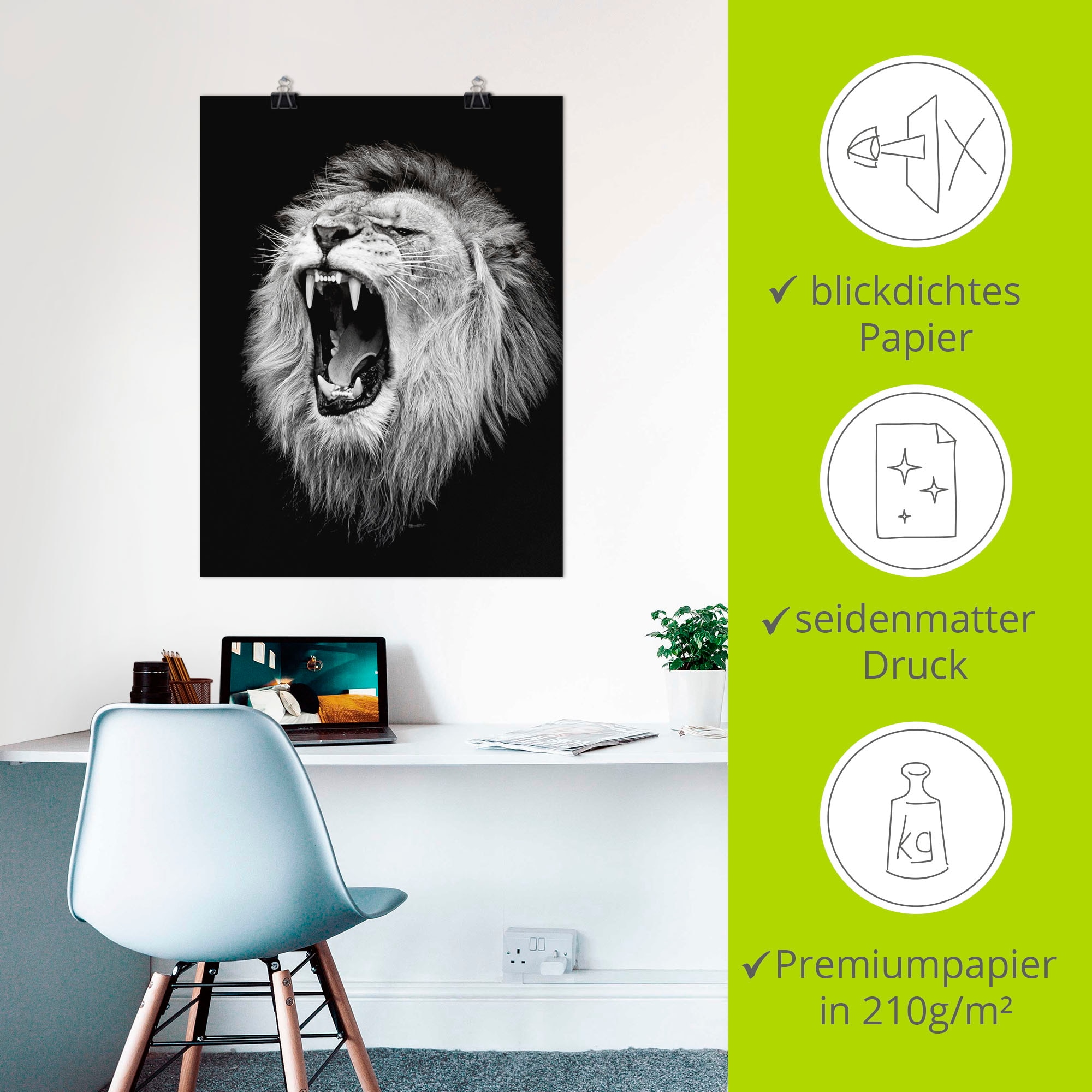 Artland Wandbild »Der Löwe« Wildtiere 1 Stk. tlg. als Leinwandbild, Poster in verschied. Größen