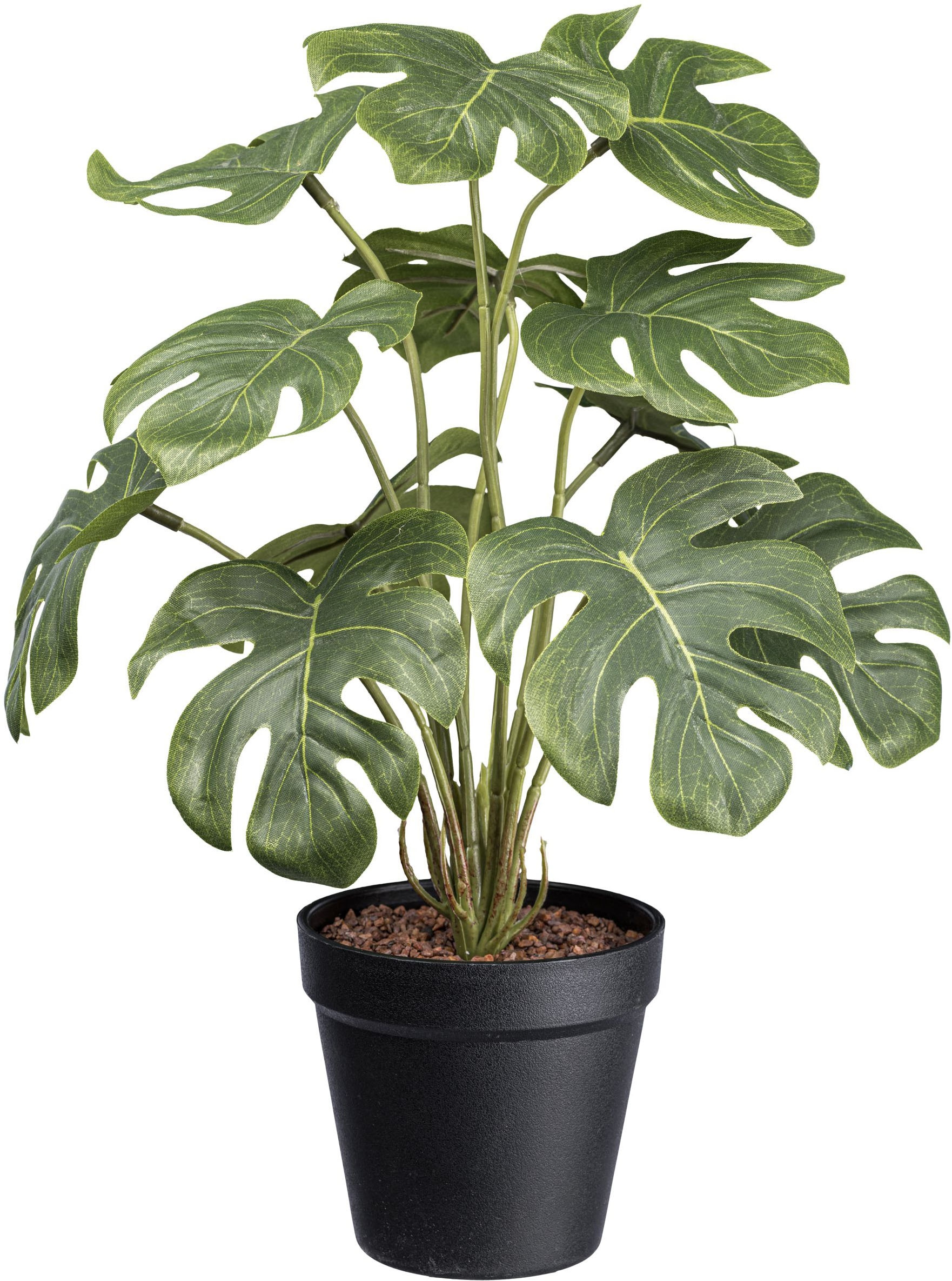 Künstliche Zimmerpflanze »Splitphilodendron«, mit schönen Blättern