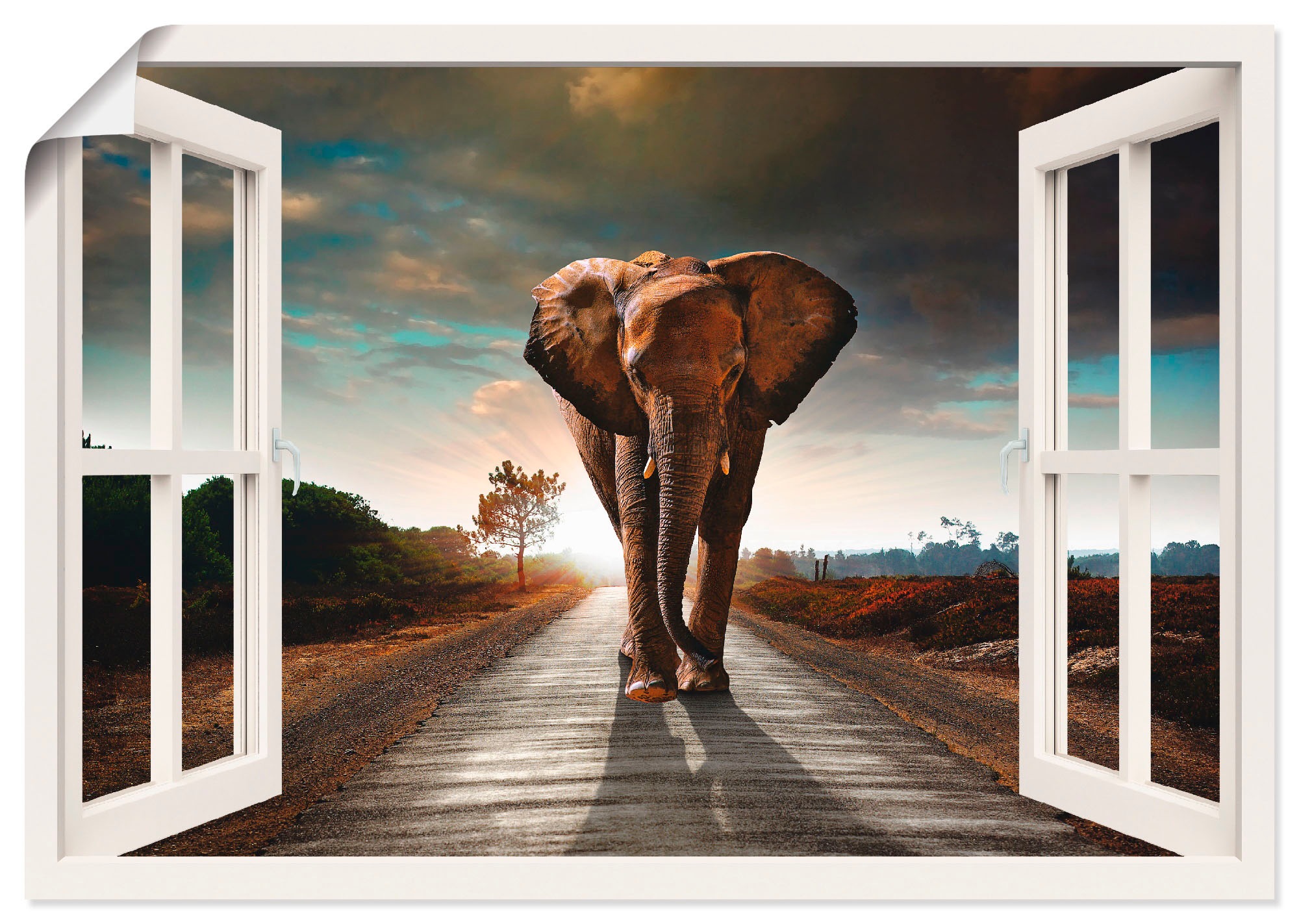 Wandbild »Elefant auf Straße«, Fensterblick, (1 St.), als Leinwandbild, Poster in...