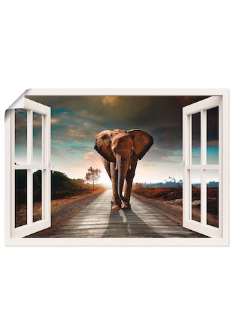 Artland Wandbild »Elefant auf Straße«, Fensterblick, (1 St.), in vielen Größen &... kaufen