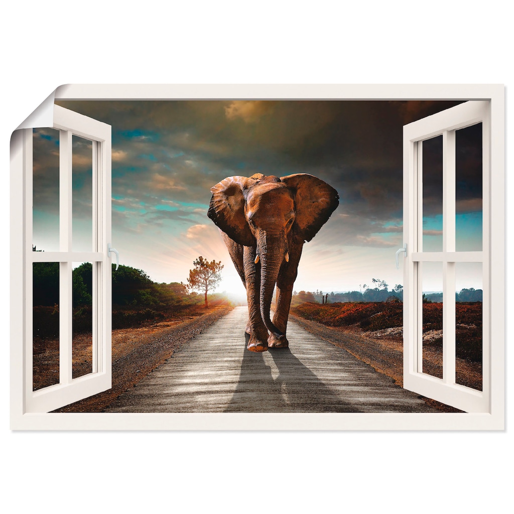 Artland Wandbild »Elefant auf Straße«, Fensterblick, (1 St.)