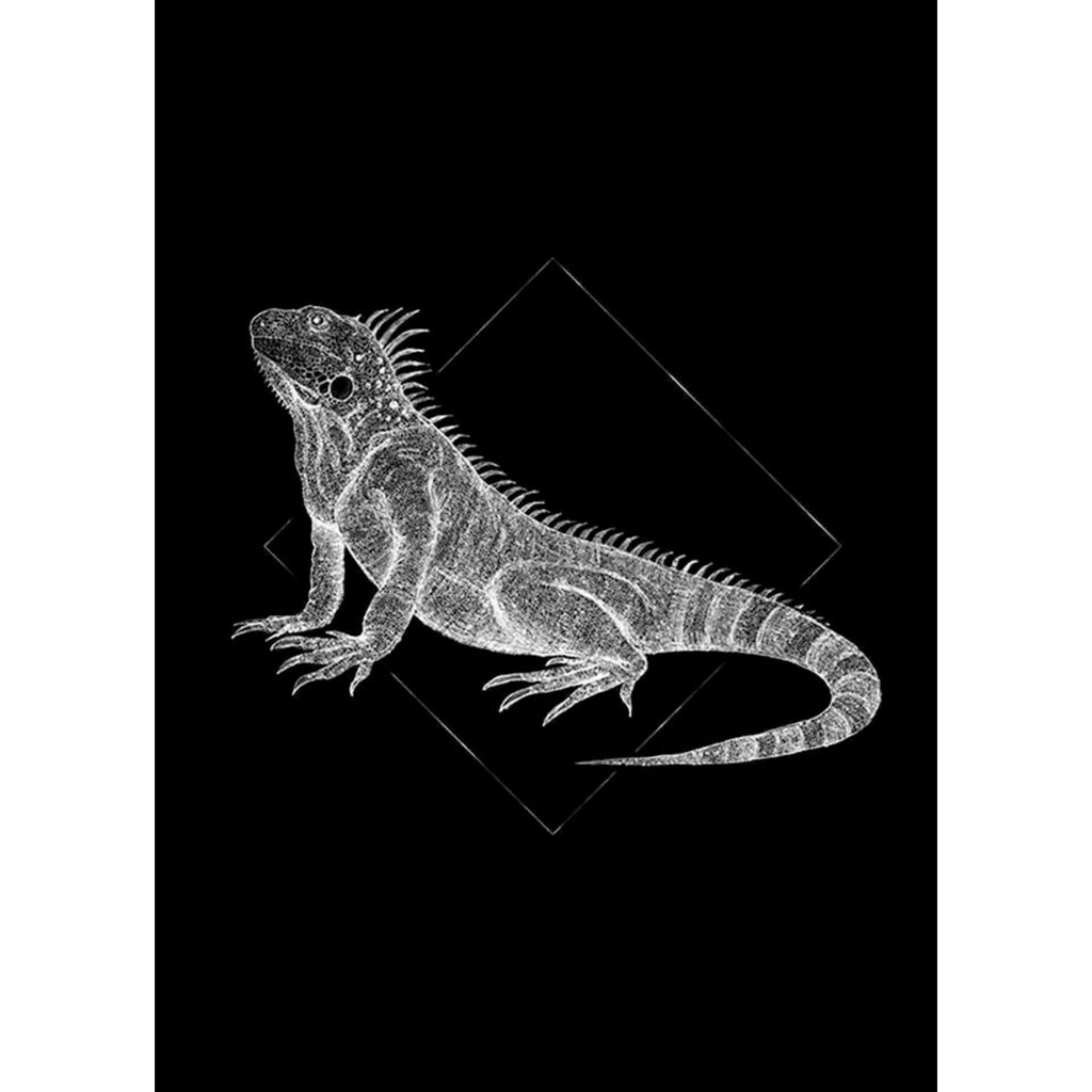 Komar Poster »Iguana Black«, Tiere, Höhe: 70cm