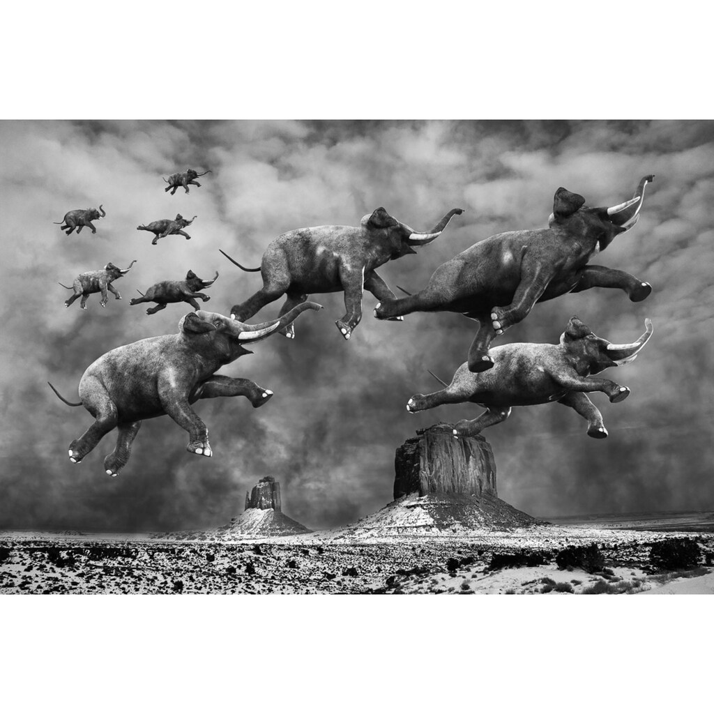 Papermoon Fototapete »Surreale fliegende Elefanten«
