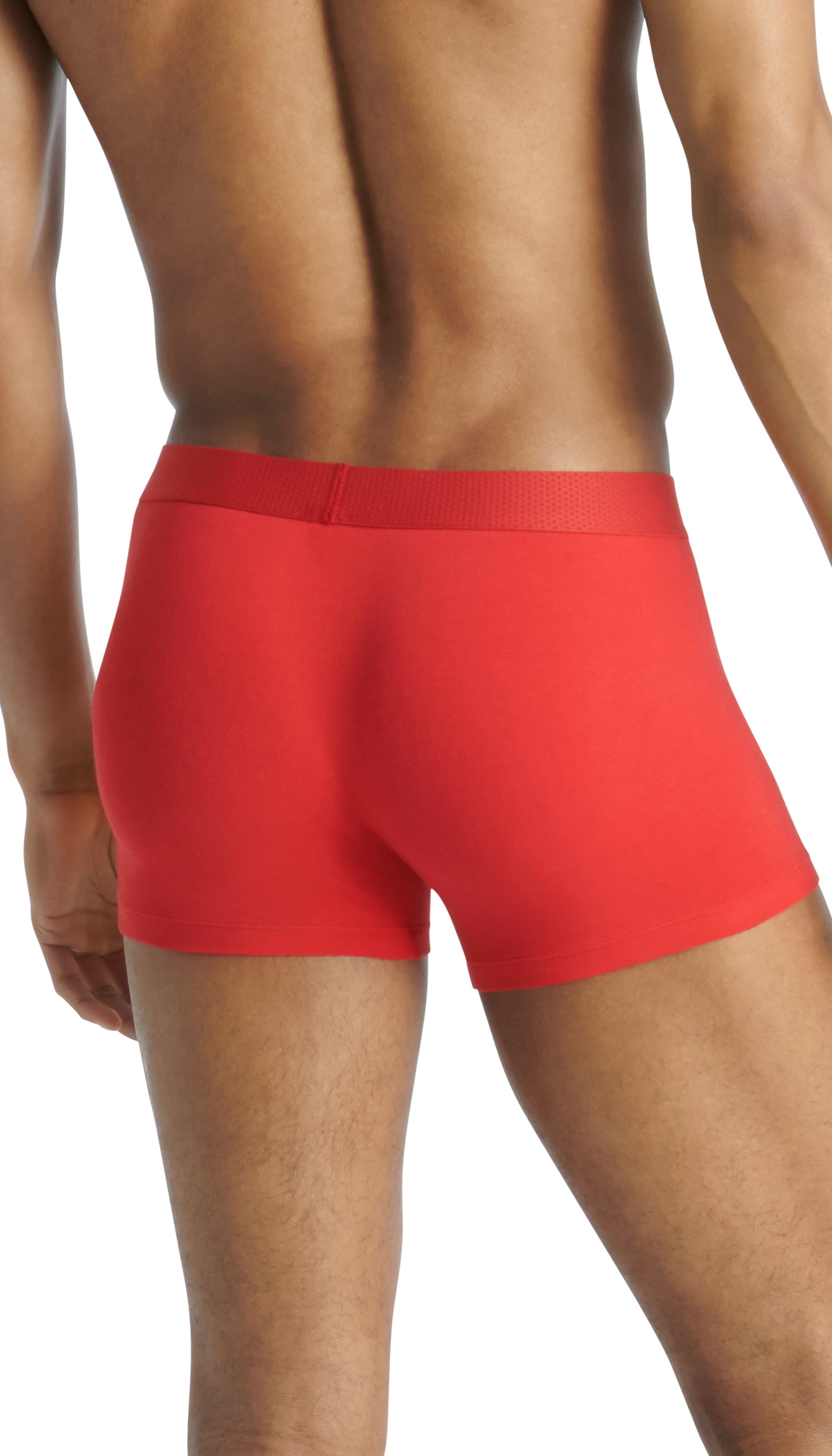 adidas Sportswear Trunk »Active Flex Cotton Body«, (2er Pack), Flexibler 4-Wege-Stretch