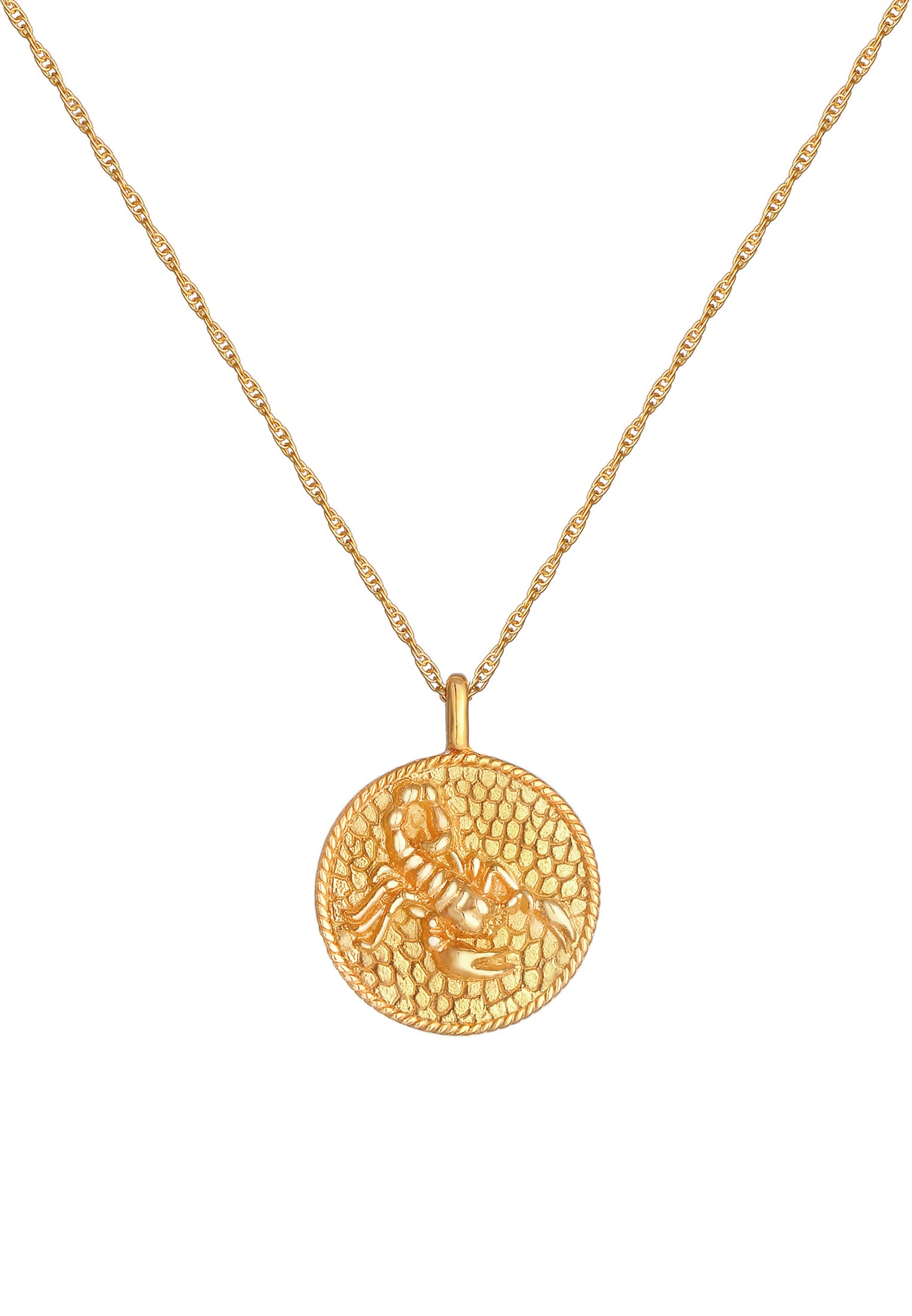 Elli Kette mit Anhänger »Halskette Sternzeichen Skorpion Zodiac Münze 925 Silber«