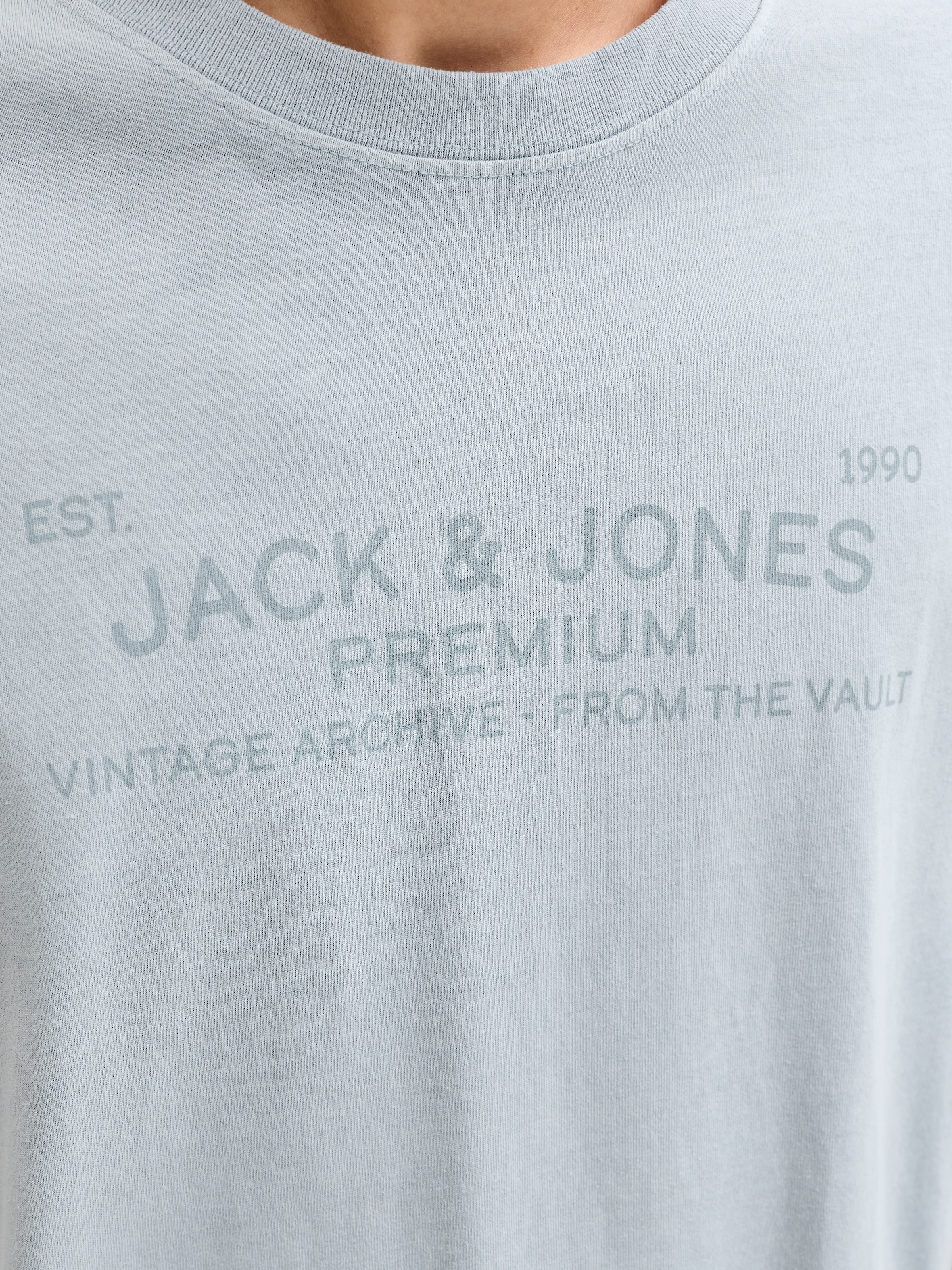 Jack & Jones T-Shirt »JPRBLUAIDEN SS TEE« Baumwolle, regular fit