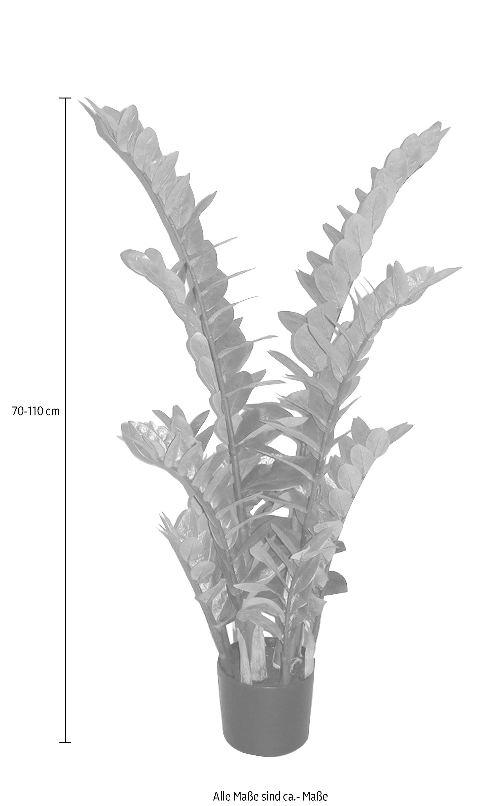 Creativ green Kunstpflanze »Zamifolia«
