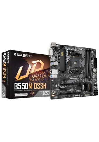 Mainboard »B550M DS3H«
