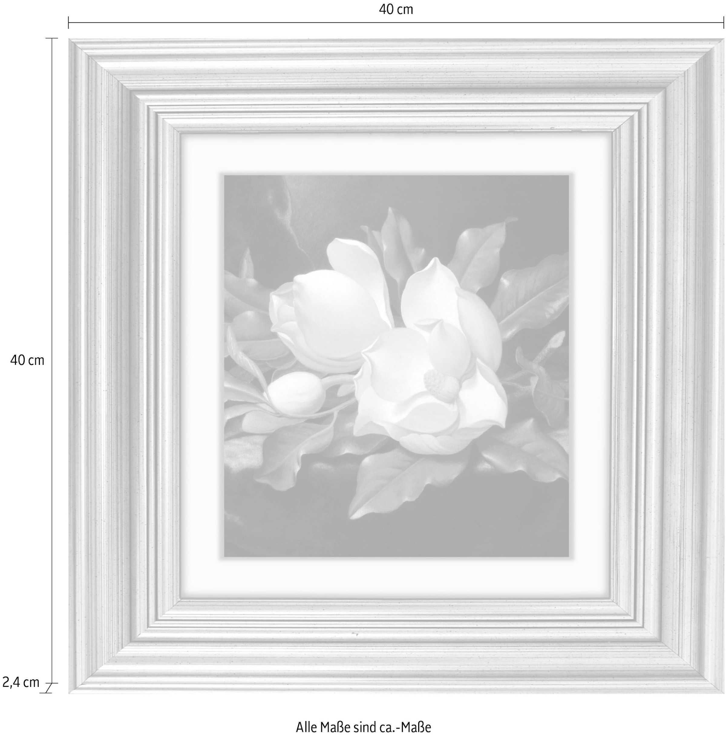 queence Acrylglasbild »Blumen« Blumen | Blumenbilder | Gemälde | Kunst | Pflanzen | Pflanzenbilder Fine Art-Print in Galeriequalität